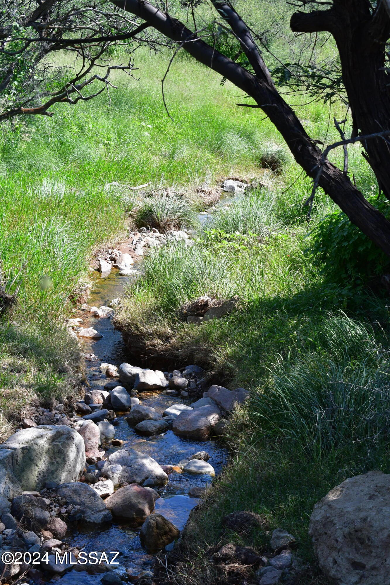 Salero Ranch - Land