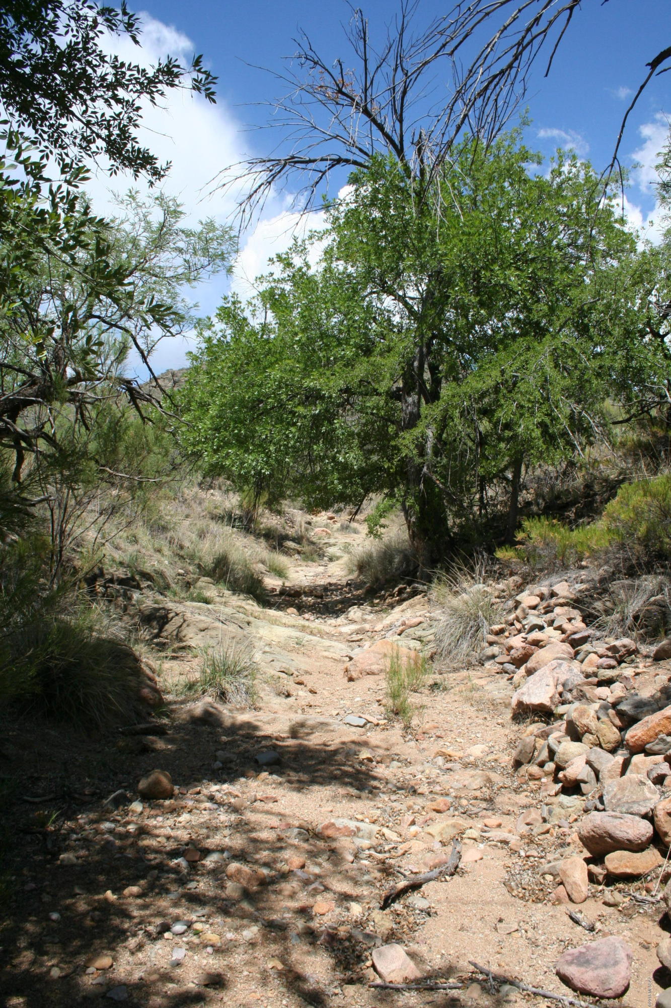 Salero Ranch - Land