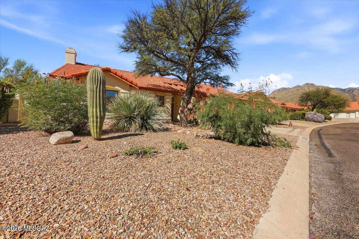 5551 N Skyset Loop