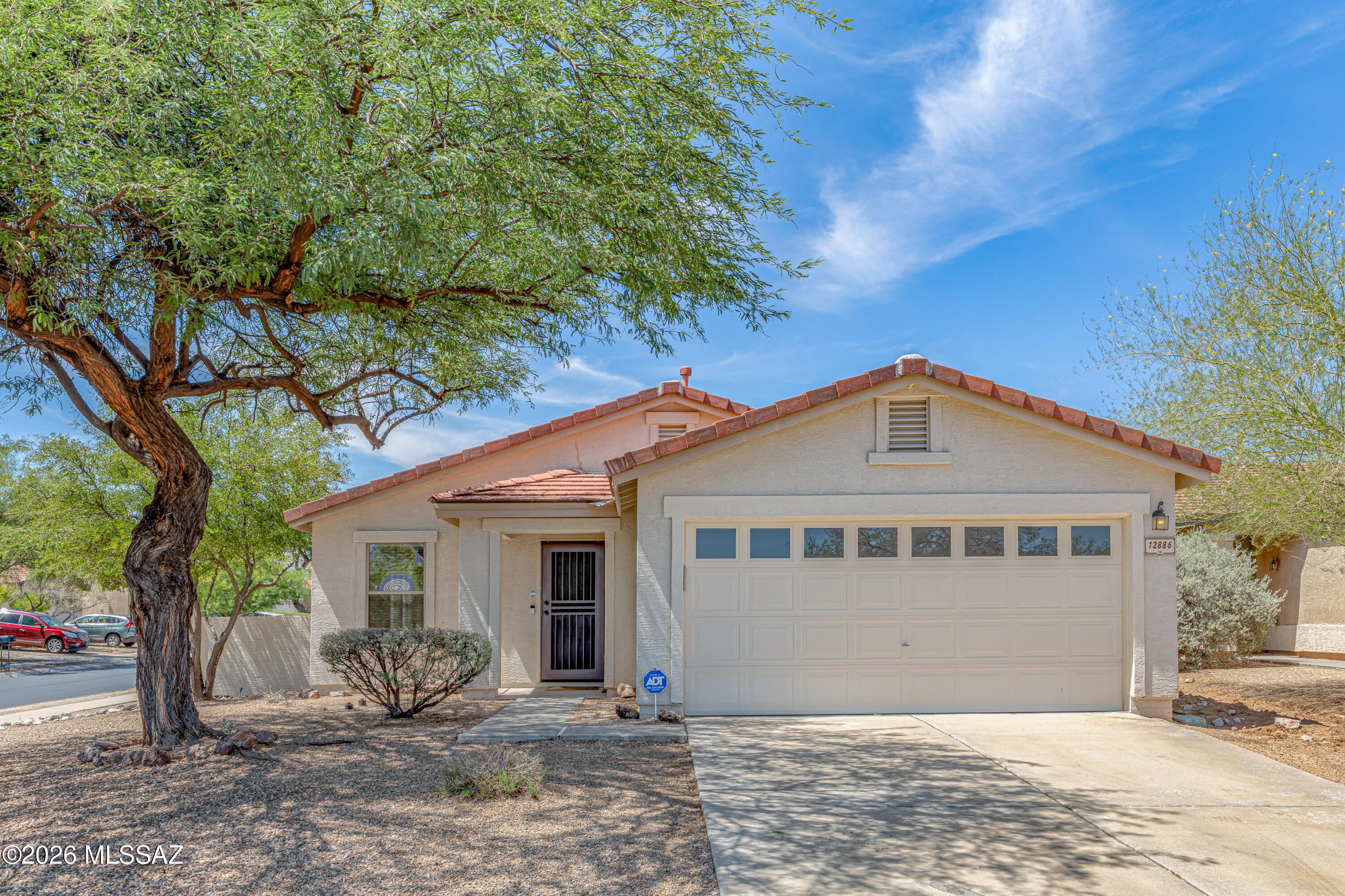 12886 N Desert Olive Drive