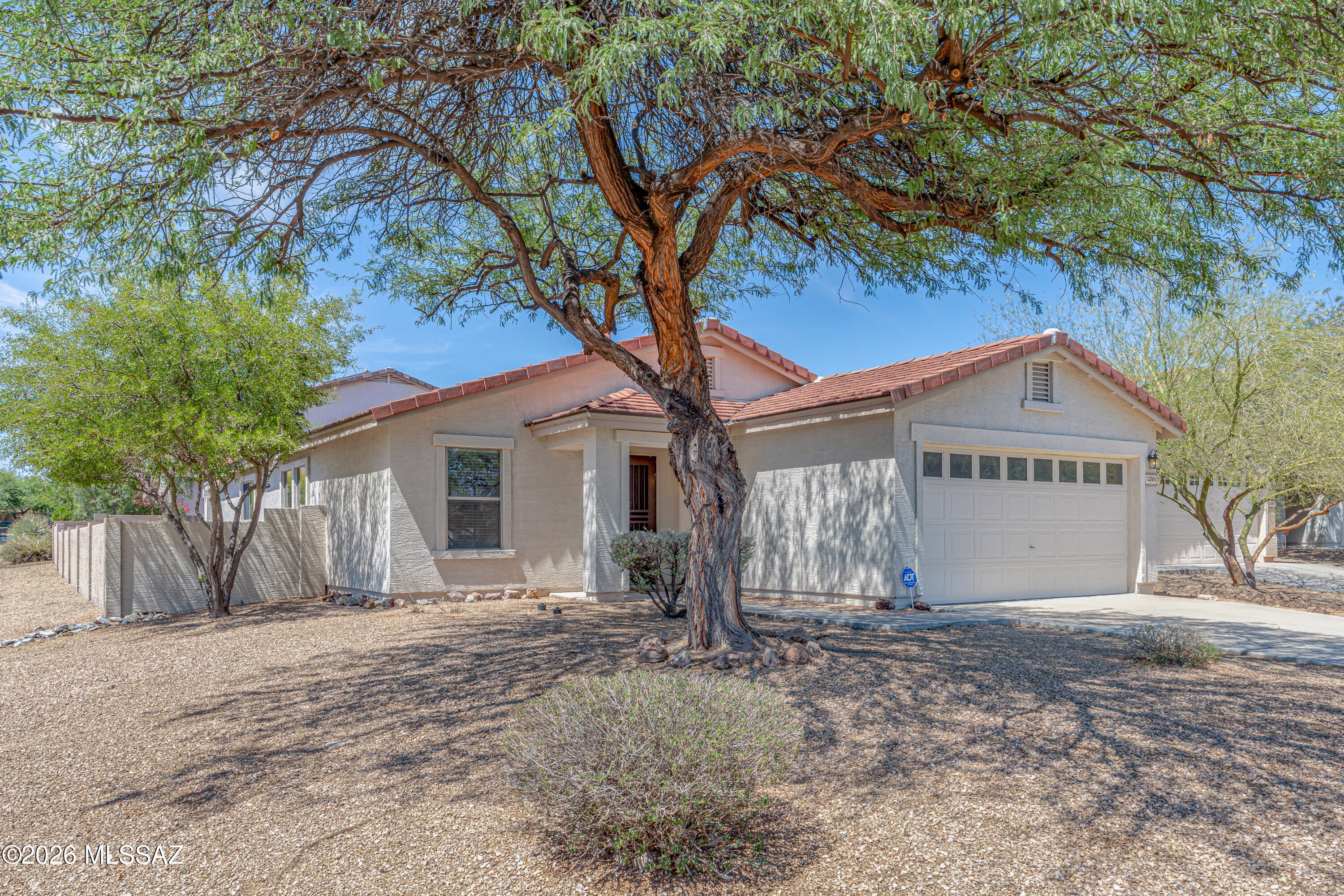 12886 N Desert Olive Drive