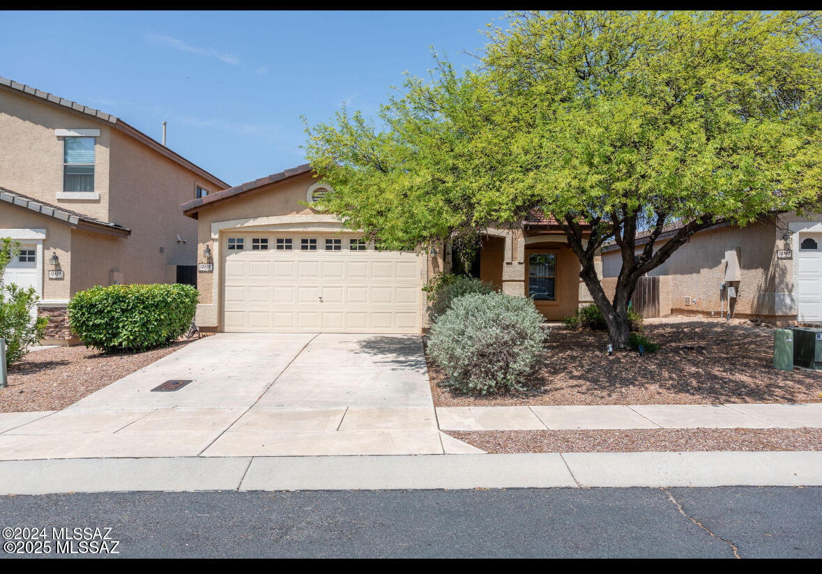 12935 N Desert Olive Drive