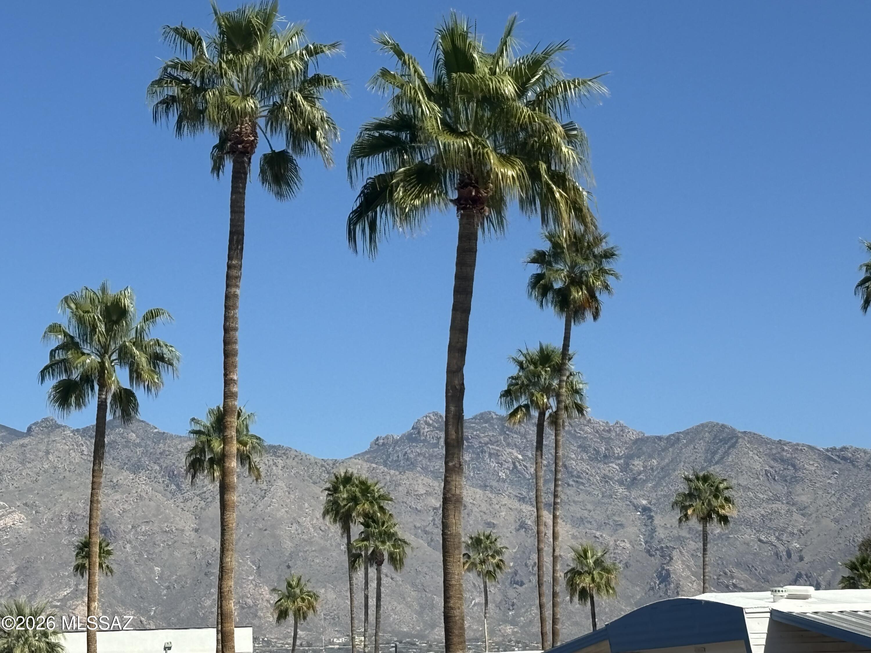 Rillito Park - Residential