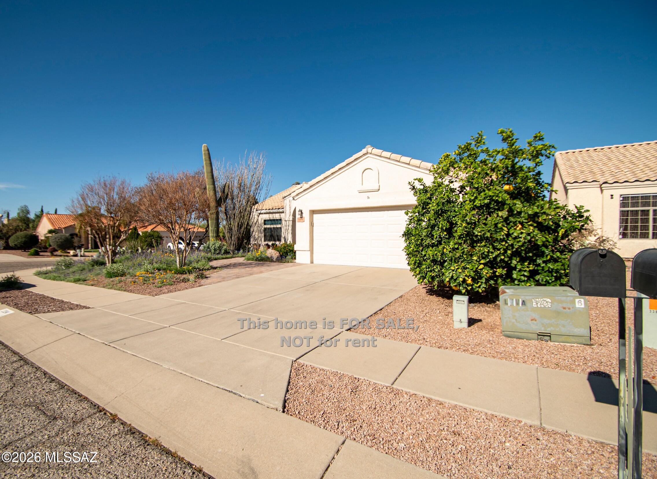 3394 W Crestone Court