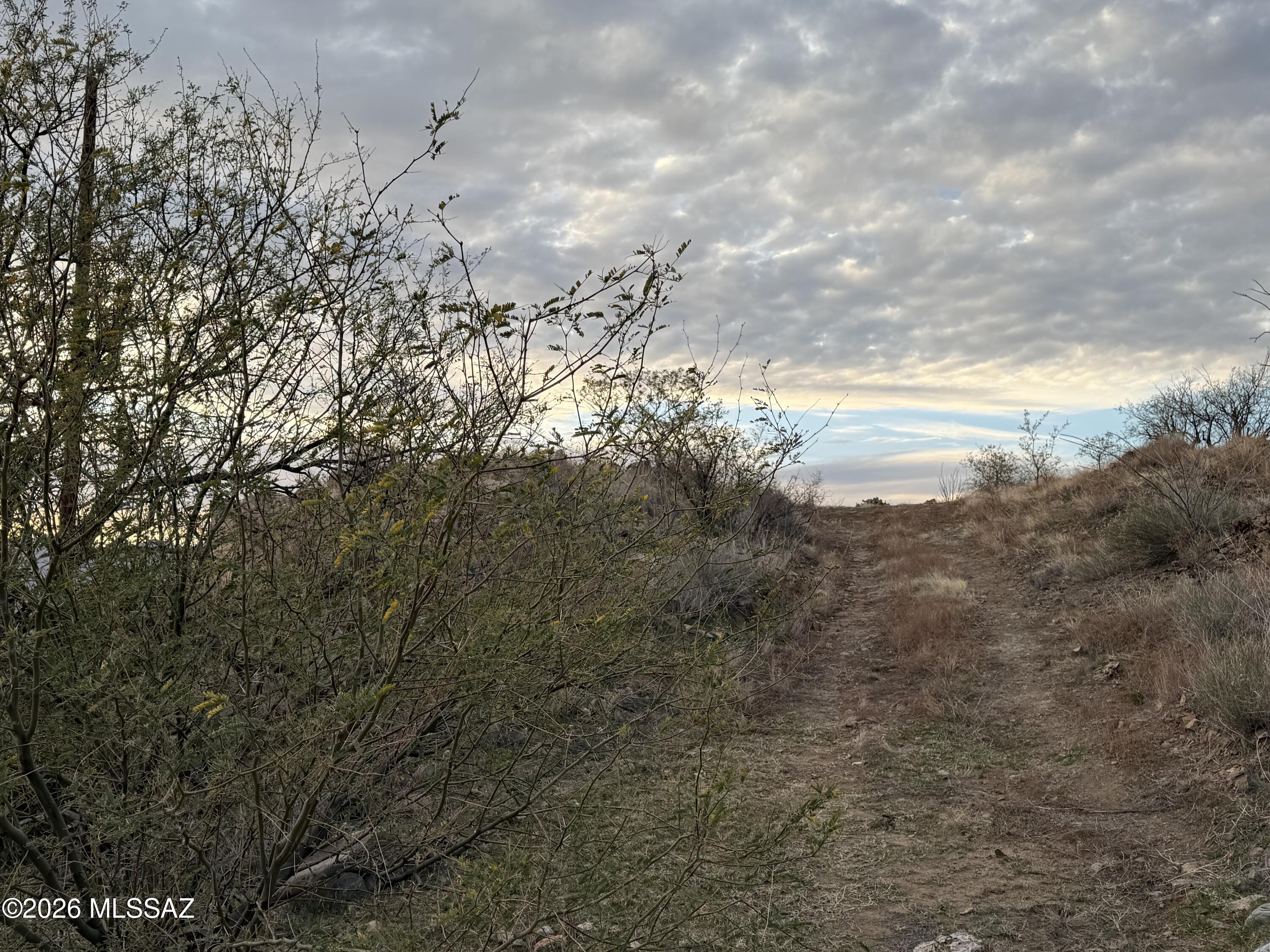 Rio Rico Ranchettes - Land