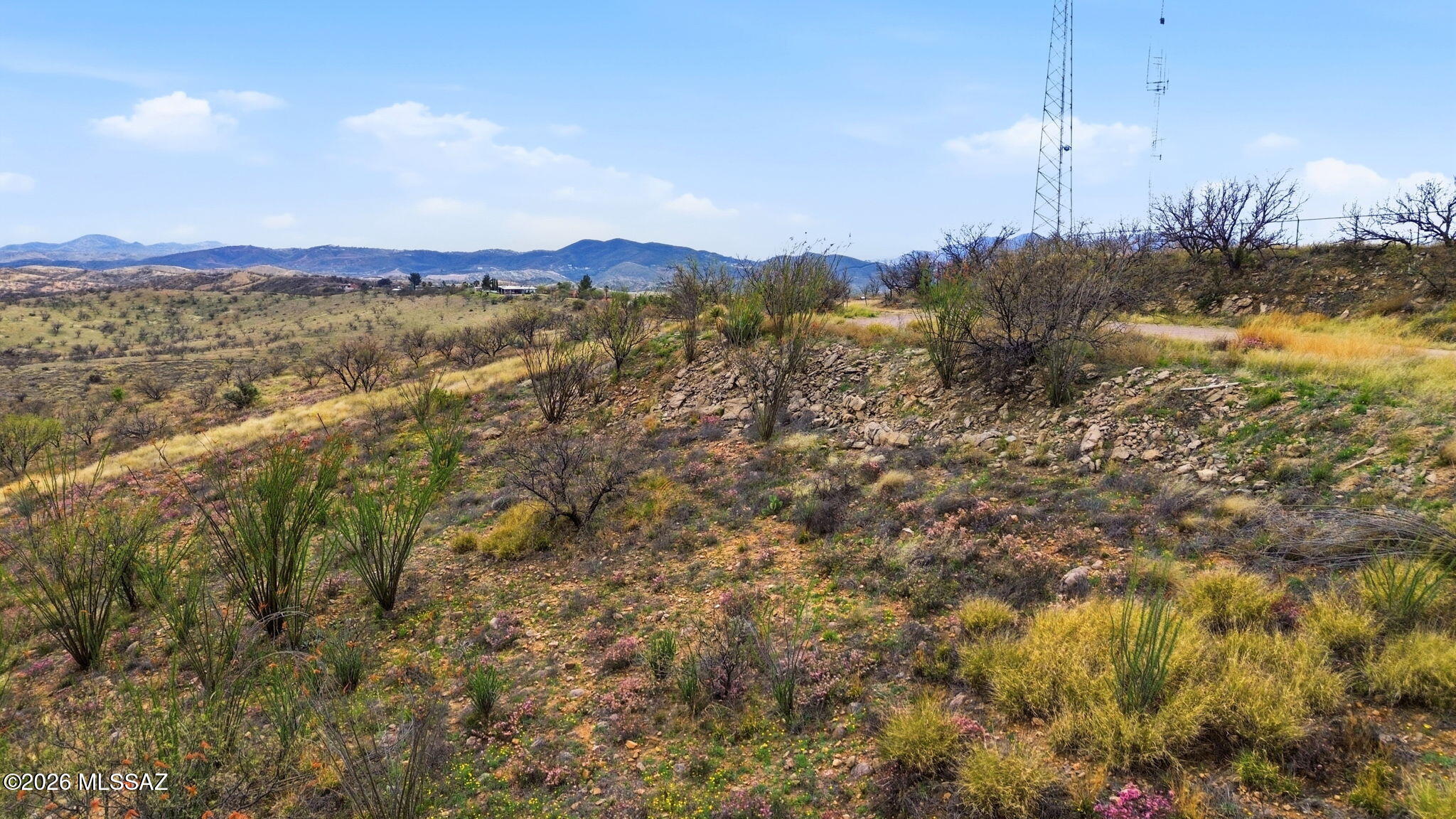 1299 N David Drive 3