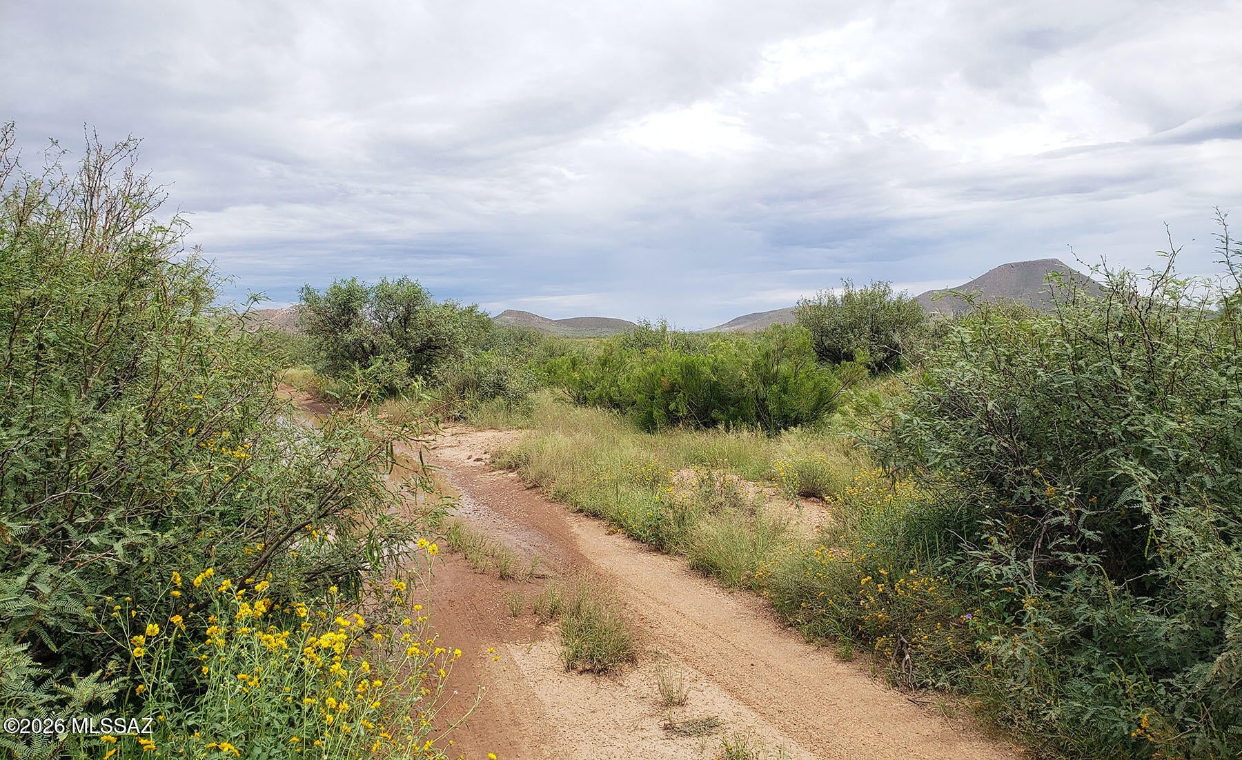 2.53 AC E Rucker Canyon Road 475
