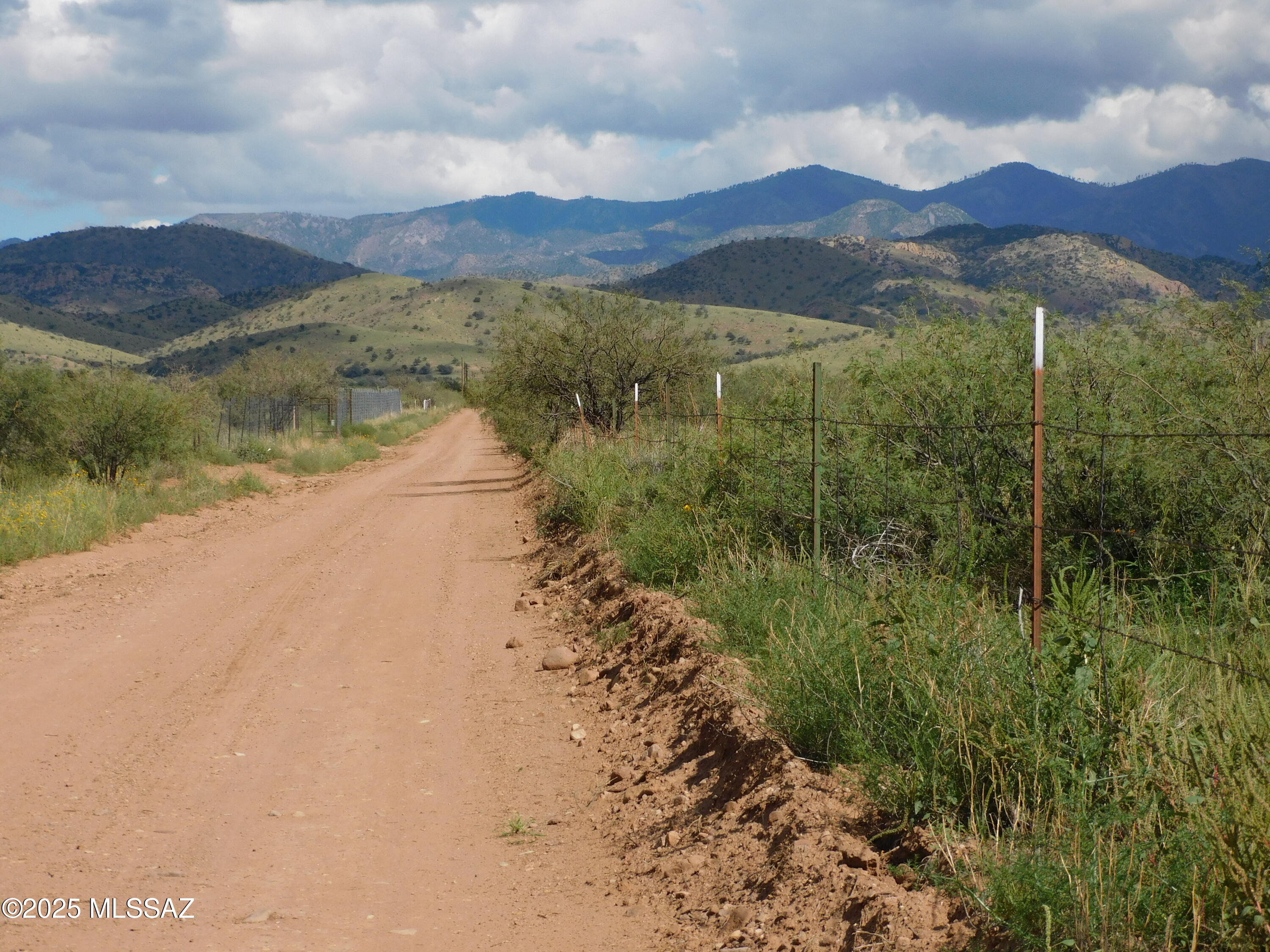 Turkey Creek Ranch - Land