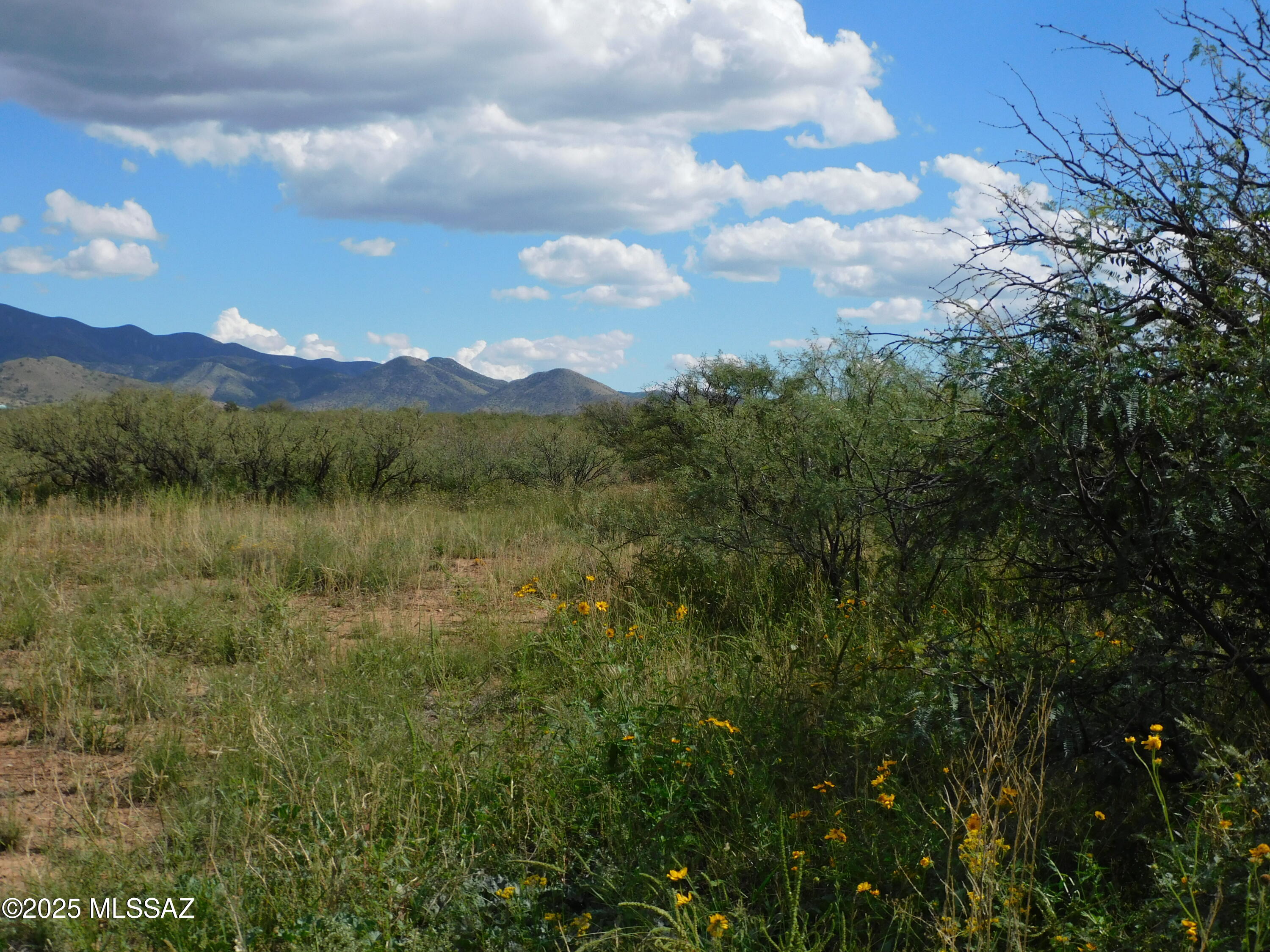 Turkey Creek Ranch - Land
