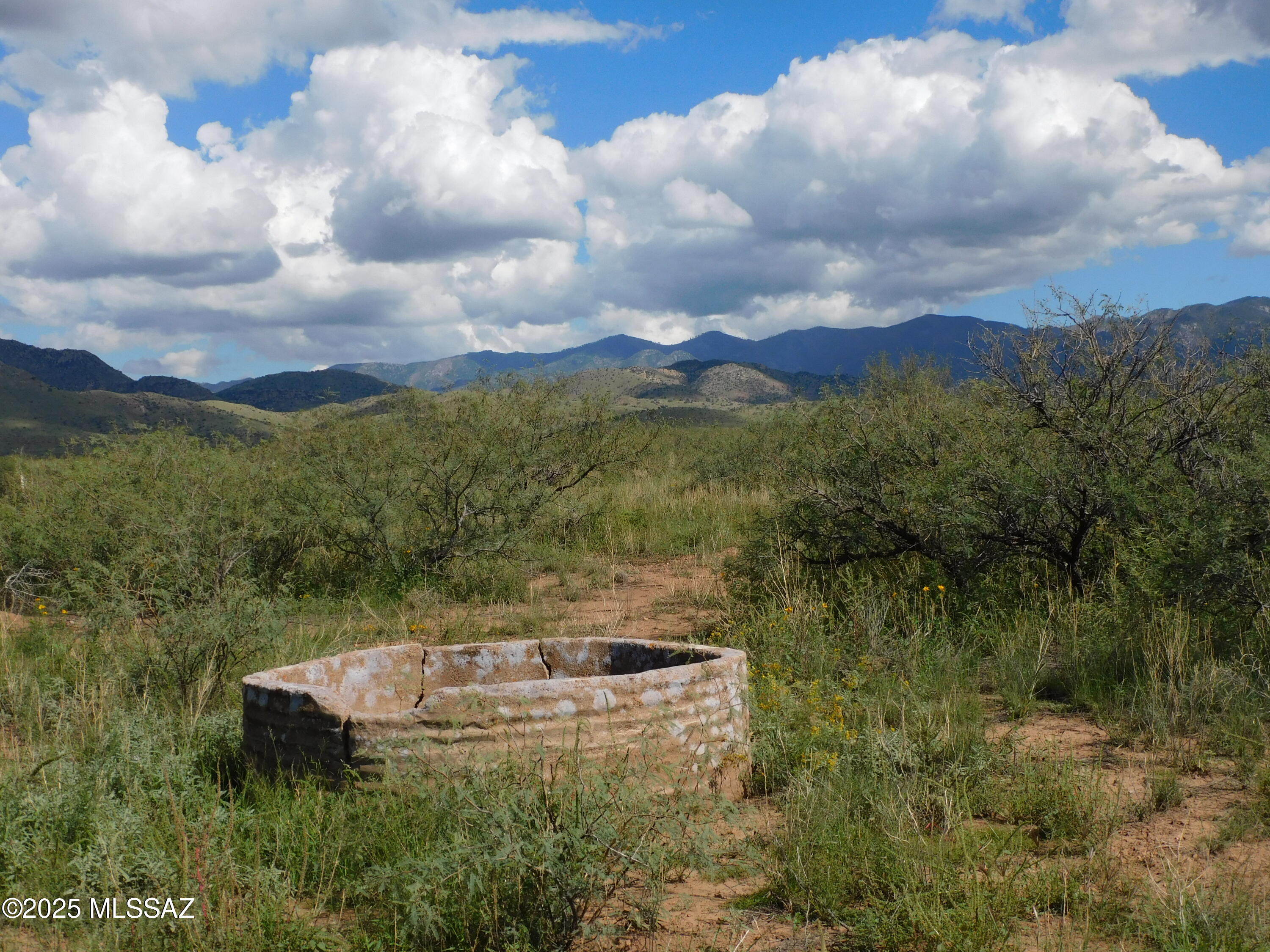 Turkey Creek Ranch - Land