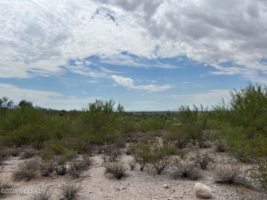 N PALO VERDE BLVD, TUCSON, AZ 85718 - Image 77048cad4cefd73f583b945dca3fea4f/2888325522