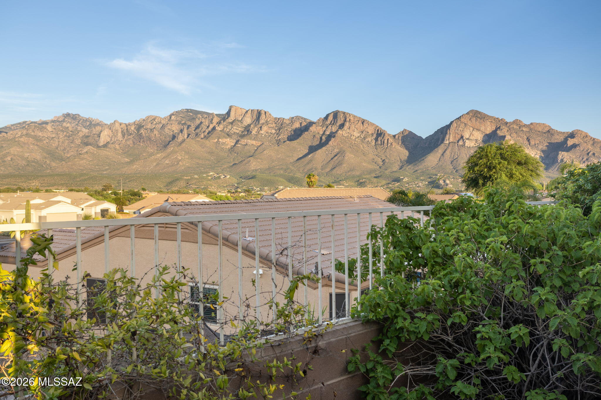 11618 N Flat Iron Drive
