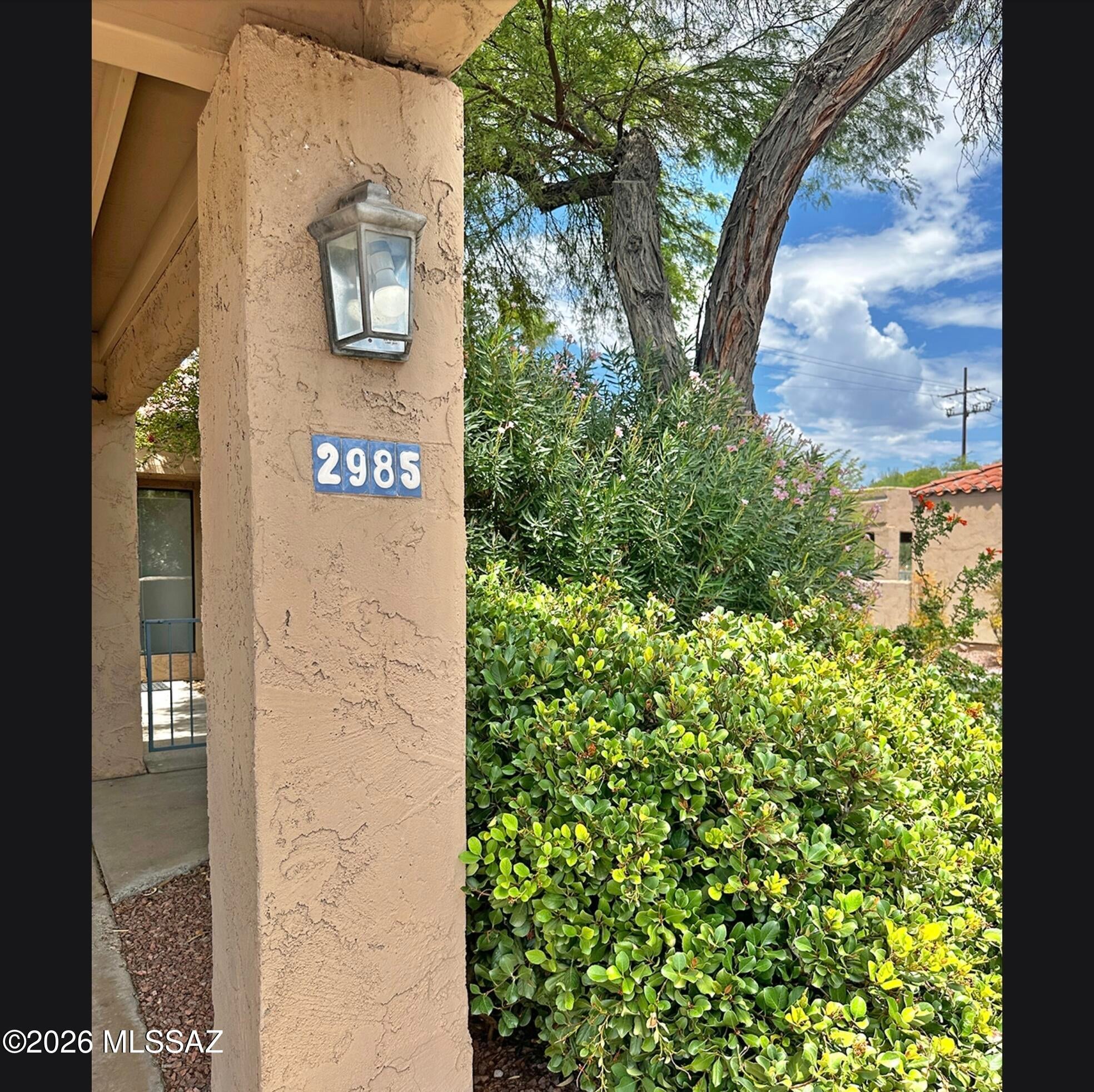 2985 E Winterhaven Drive