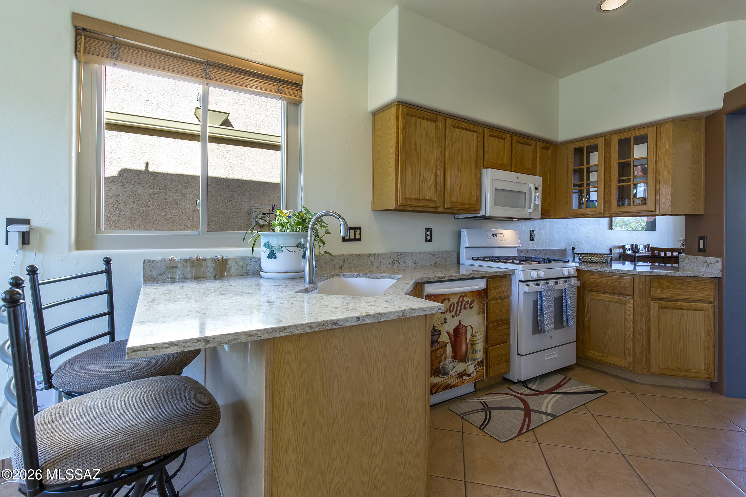 1556 E Painted Colt Loop