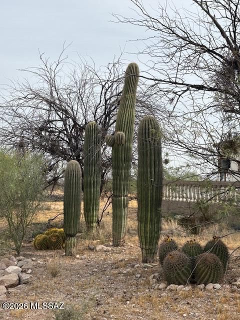 11380 W Valencia Road -- Tucson AZ 85735