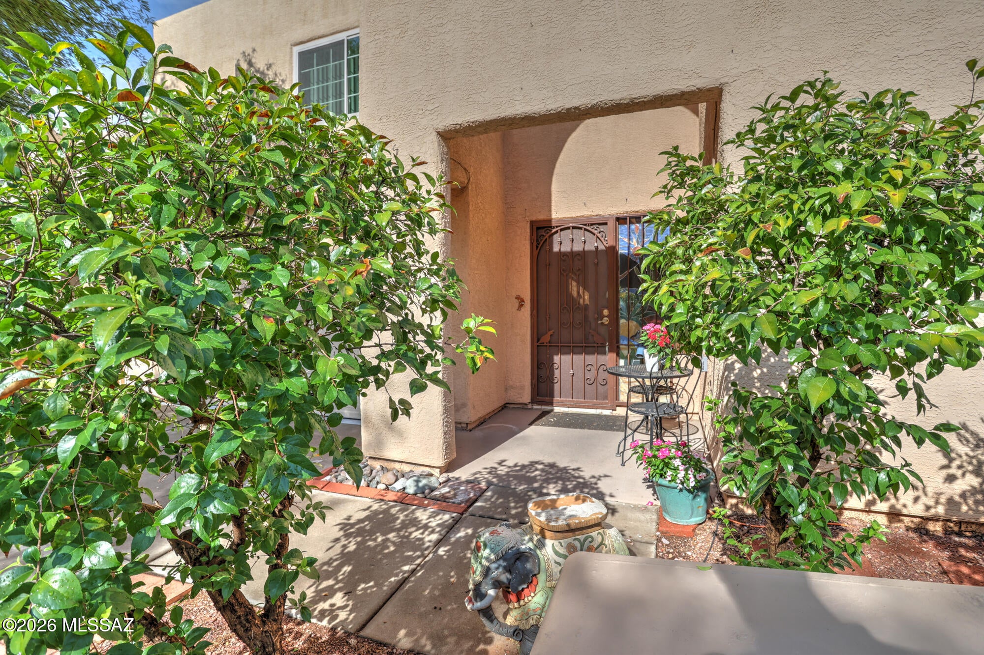3377 N Apache Plume Court