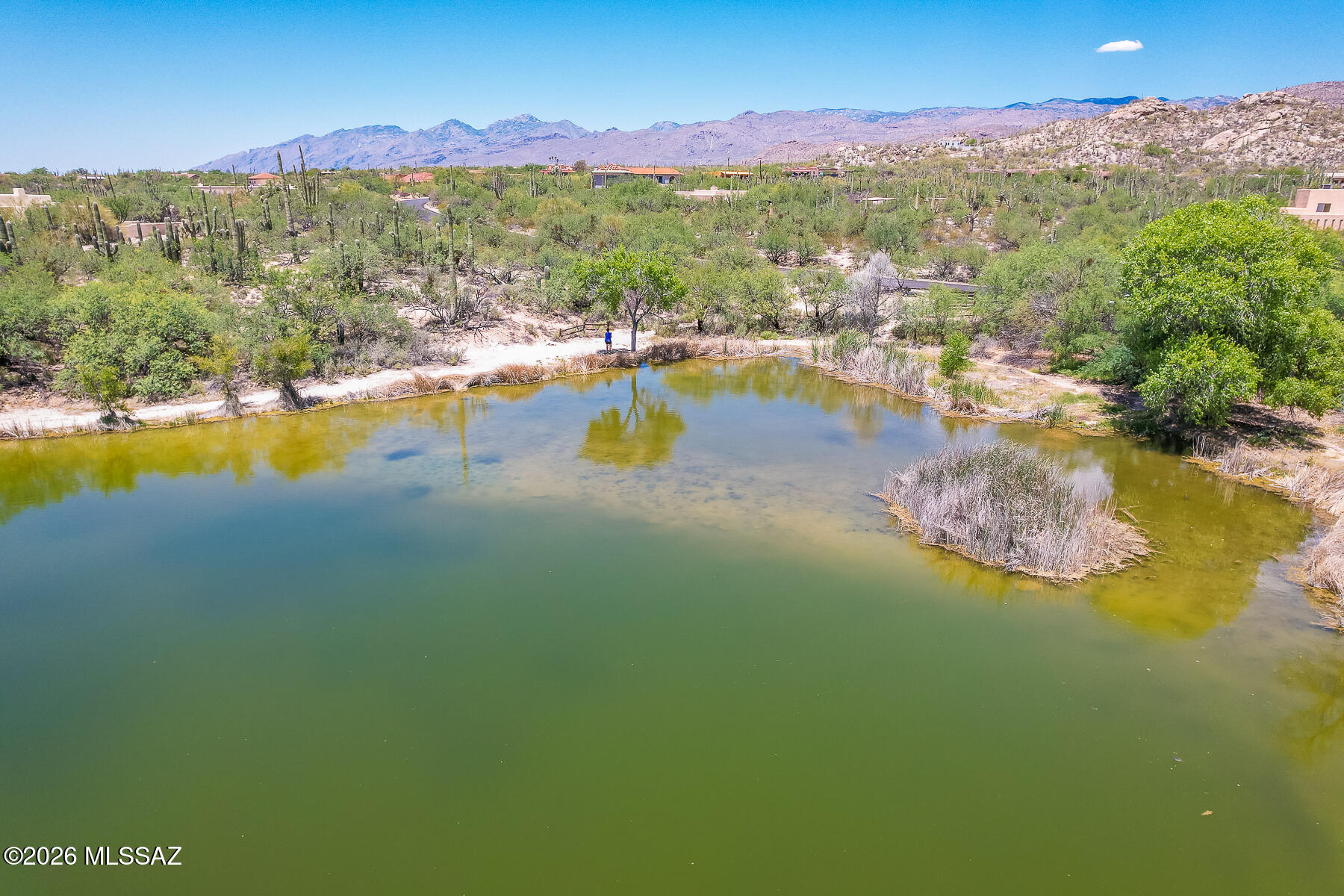 La Cebadilla Estates (1-161) - Land