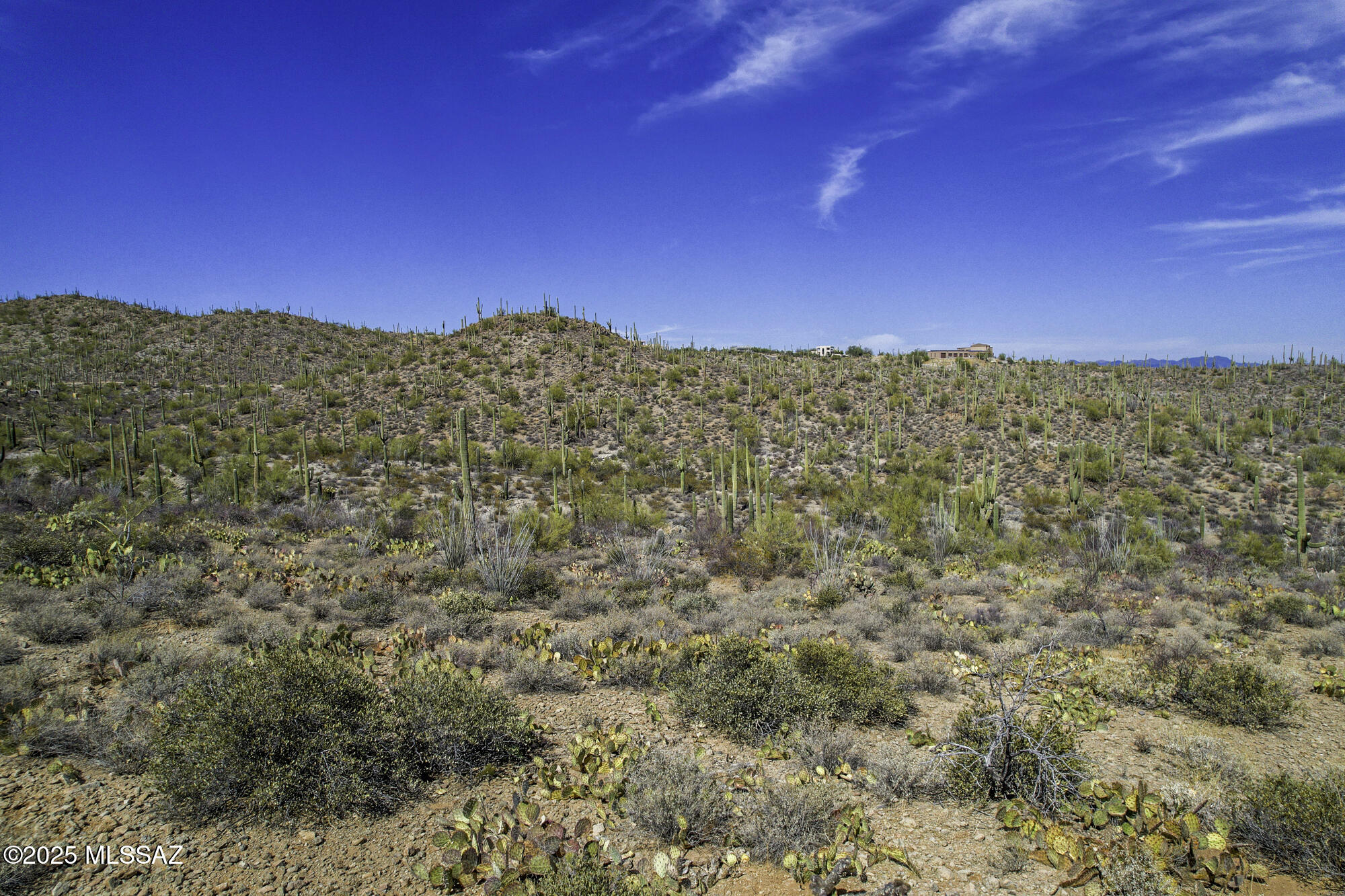 6840 W Banded Gecko Way 1-3