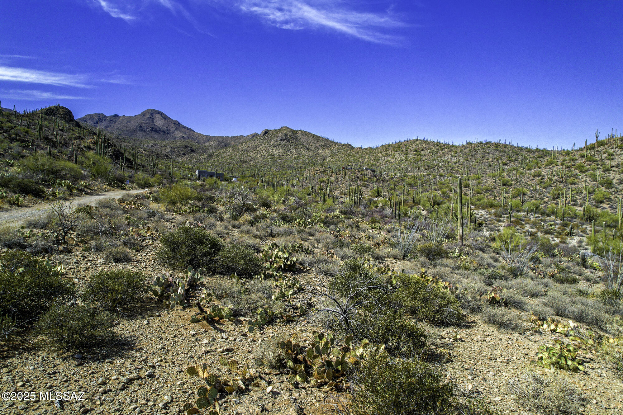 6840 W Banded Gecko Way 1-3