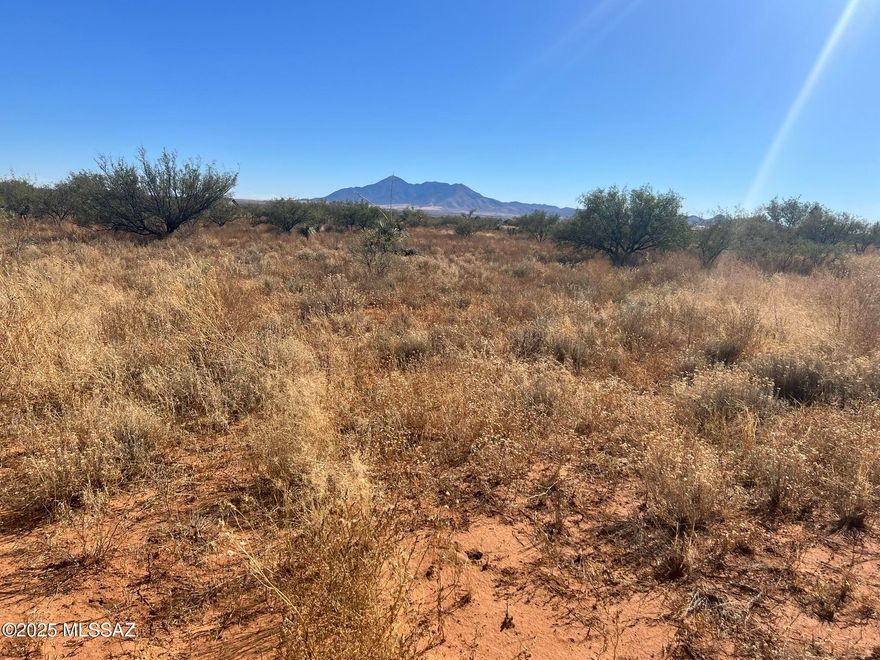 Dreaming of building your custom home? This 4 acre parcel in Hereford is your chance! Surrounded by breath taking Mountain views in every direction, the property is partially developed with a 1/2 well share and electricity already in place. Conveniently located just off a paved road and less than a mile from San Pedro River, you'll enjoy the right biodiversity of this area.  Home to countless bird species, and seasonal migrations. With natural beauty all around, this is one of a few great opportunities in the area to create a perfect home.