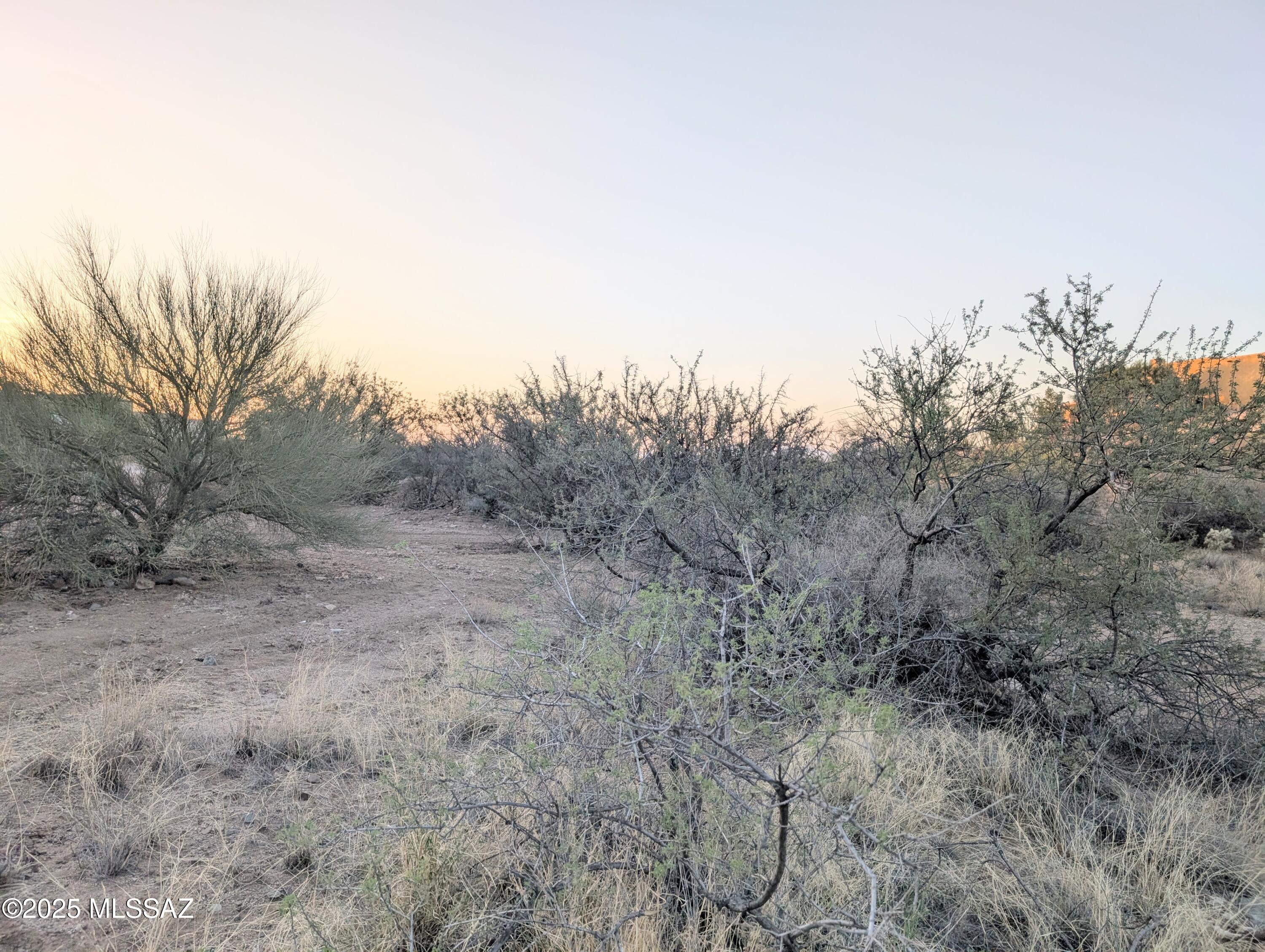 New Tucson Unit NO. 6 (1-75) - Land
