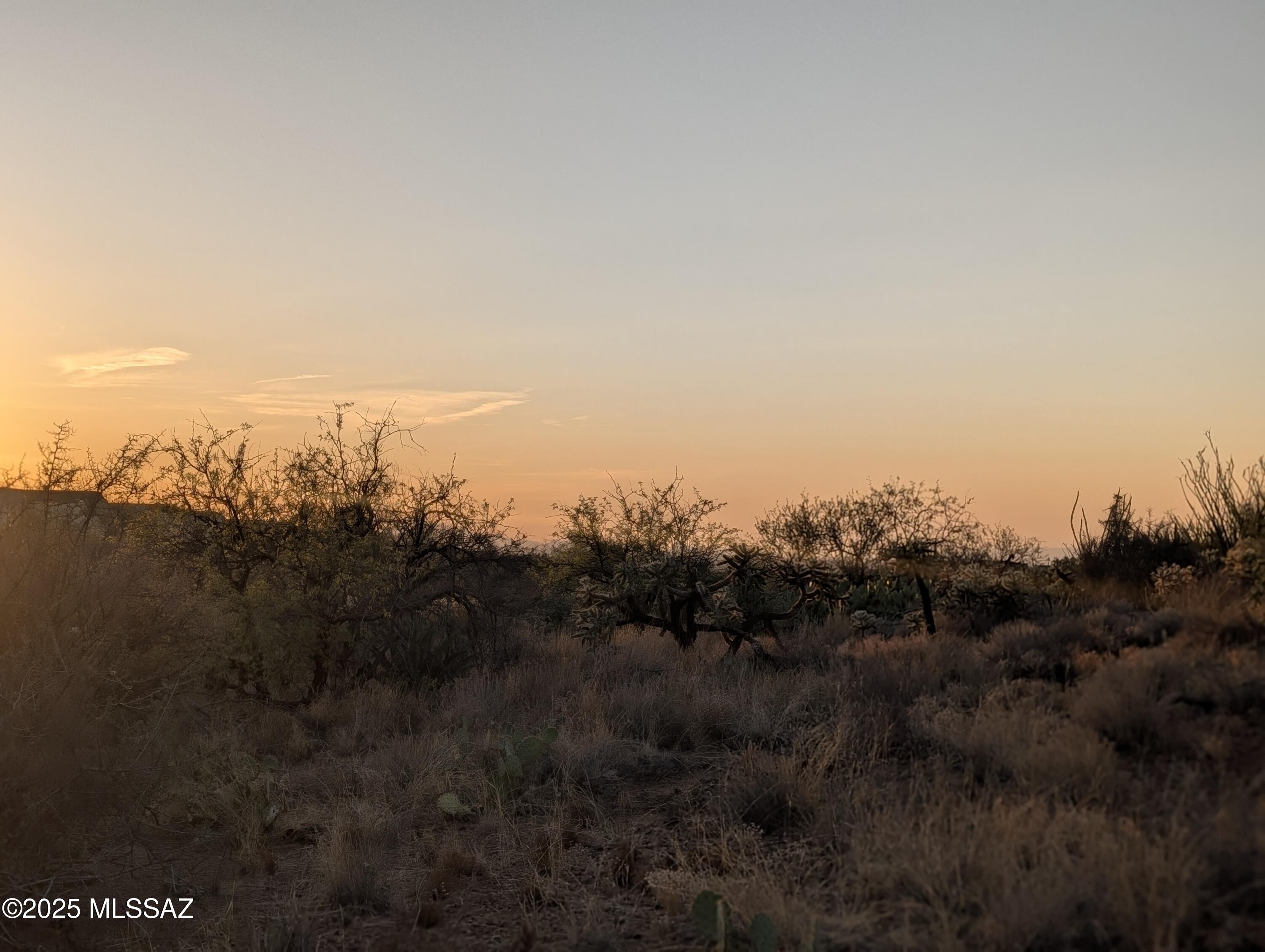 New Tucson Unit NO. 6 (1-75) - Land