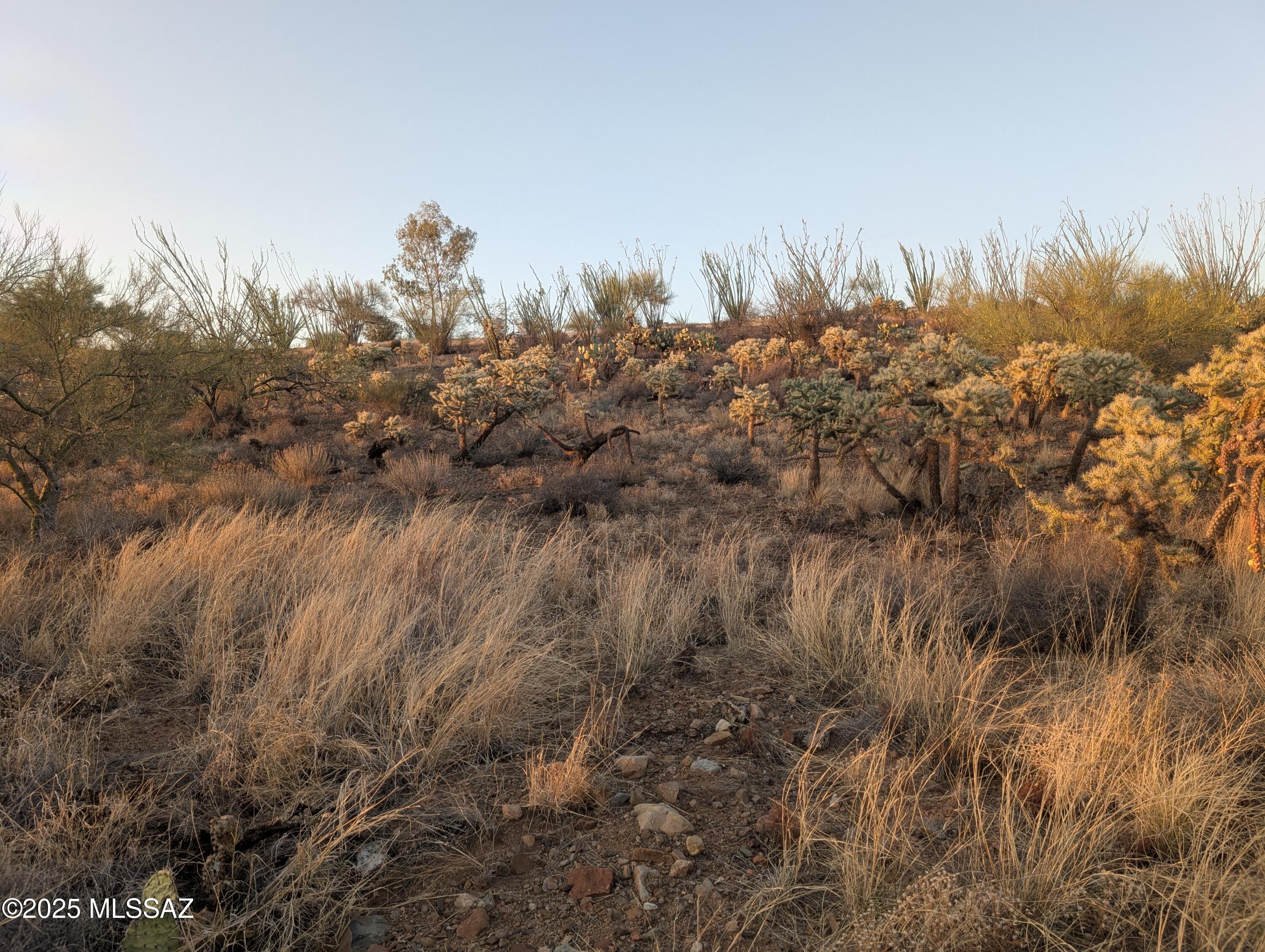 New Tucson Unit NO. 6 (1-75) - Land