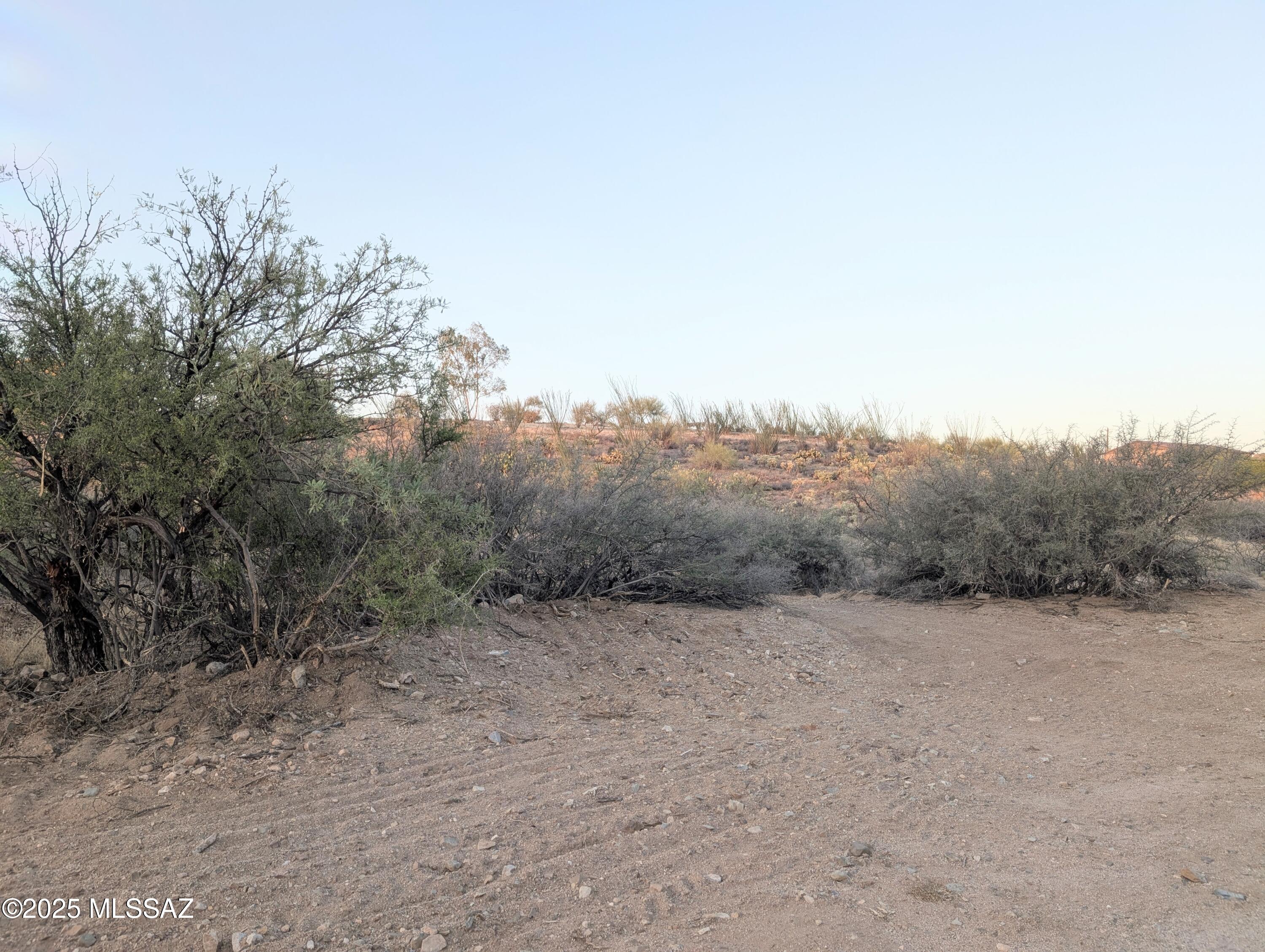 New Tucson Unit NO. 6 (1-75) - Land