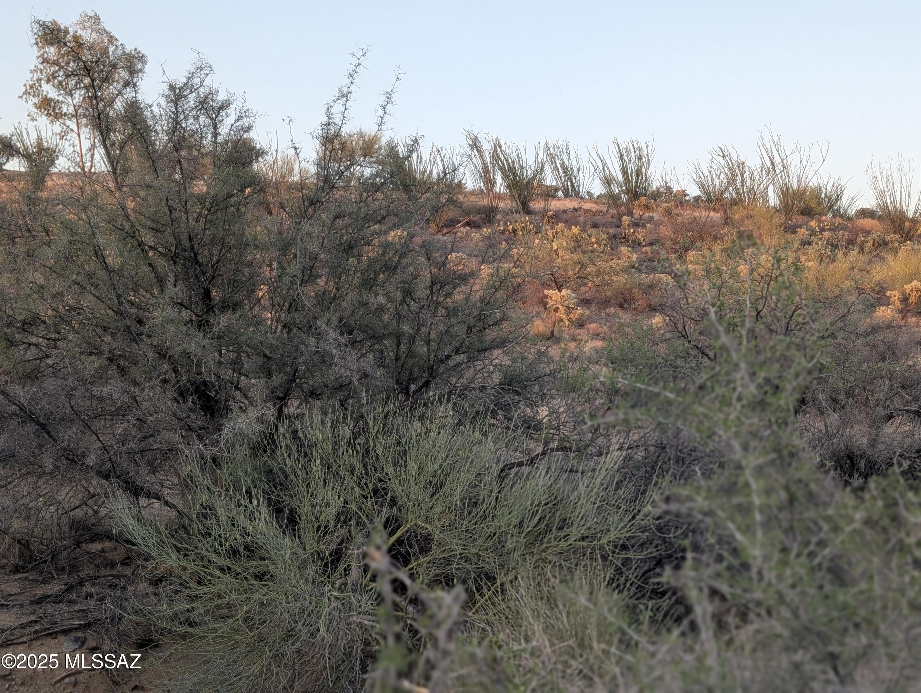 New Tucson Unit NO. 6 (1-75) - Land