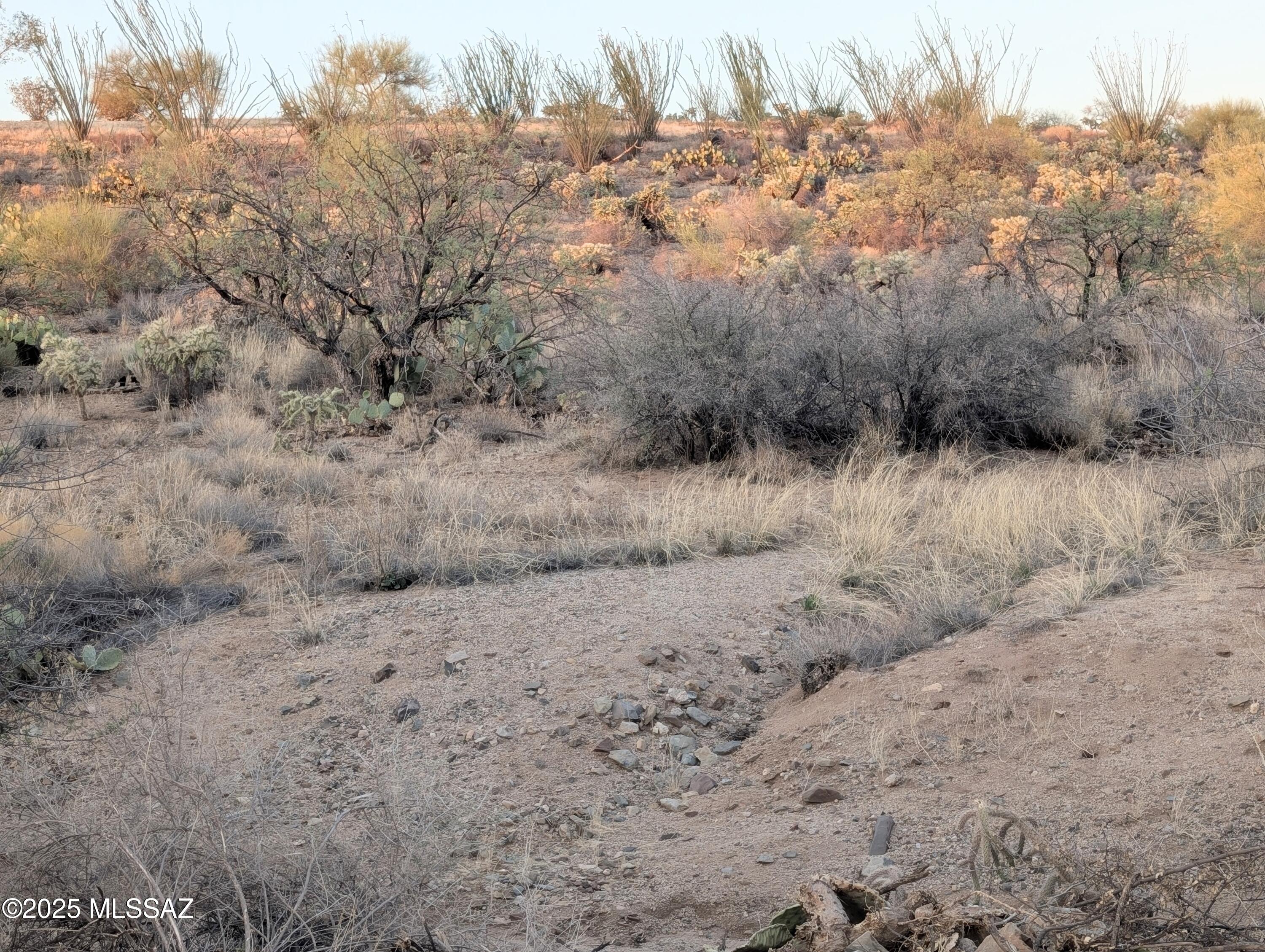 New Tucson Unit NO. 6 (1-75) - Land