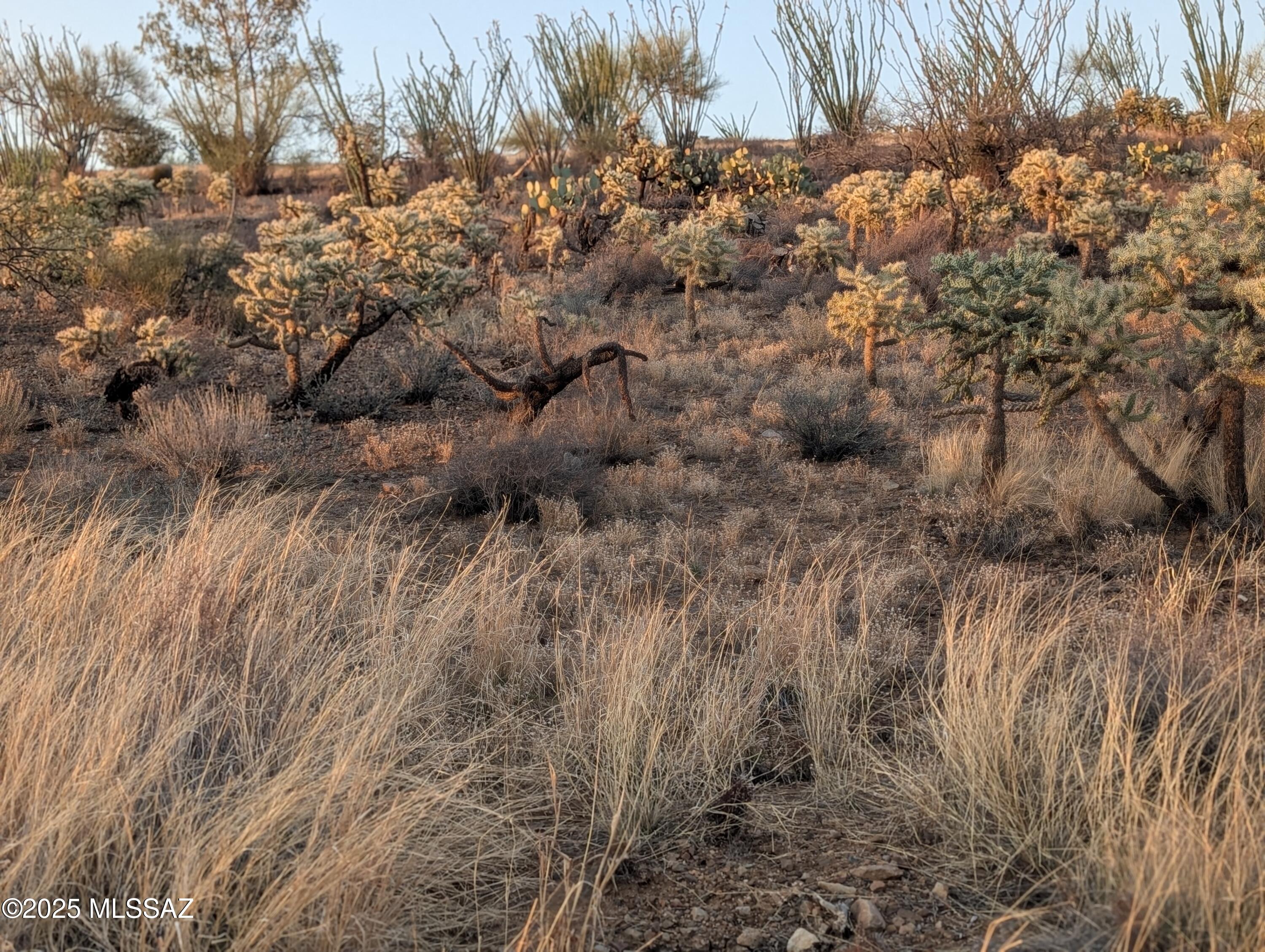 New Tucson Unit NO. 6 (1-75) - Land