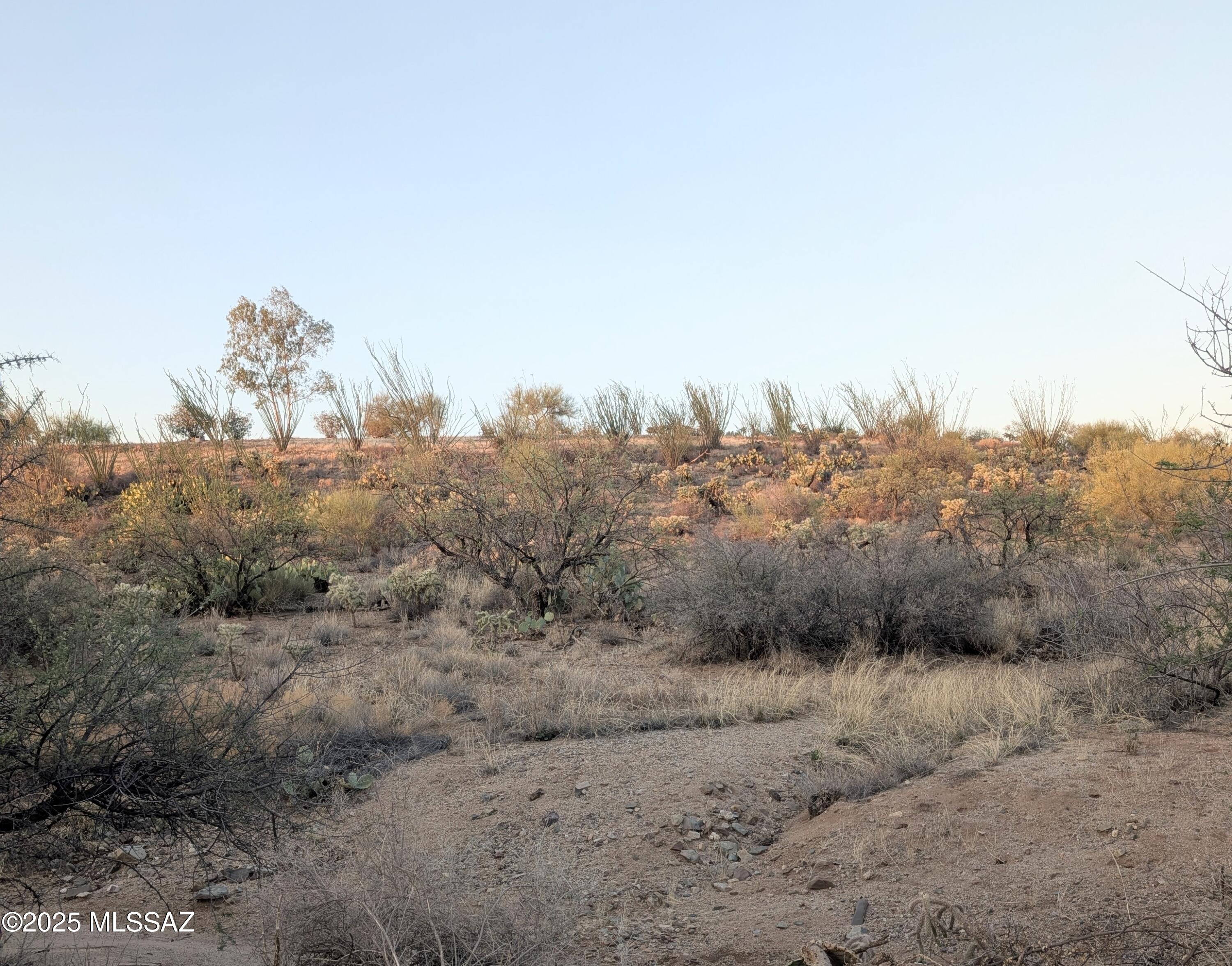 New Tucson Unit NO. 6 (1-75) - Land