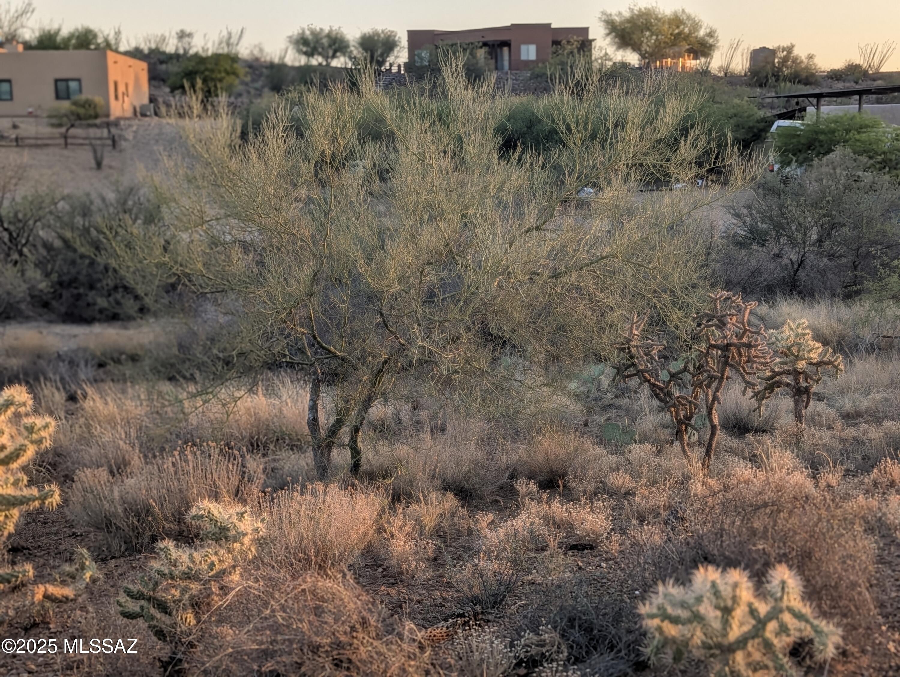 New Tucson Unit NO. 6 (1-75) - Land