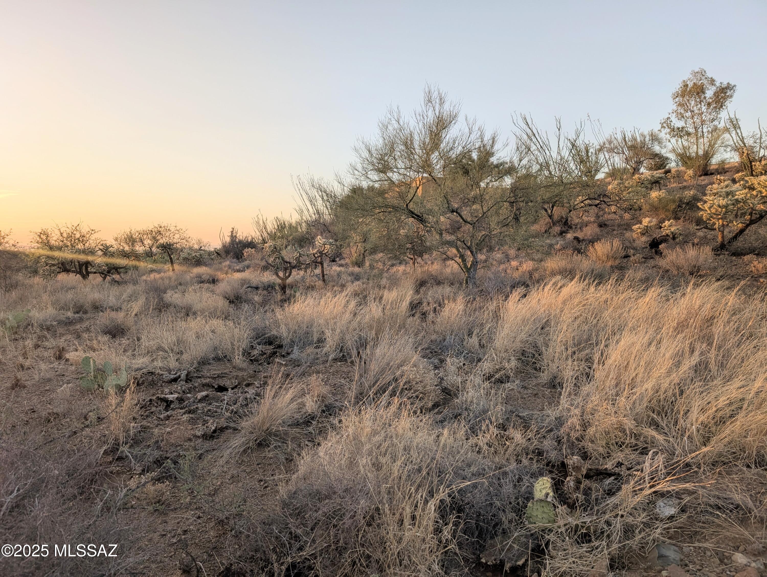 New Tucson Unit NO. 6 (1-75) - Land