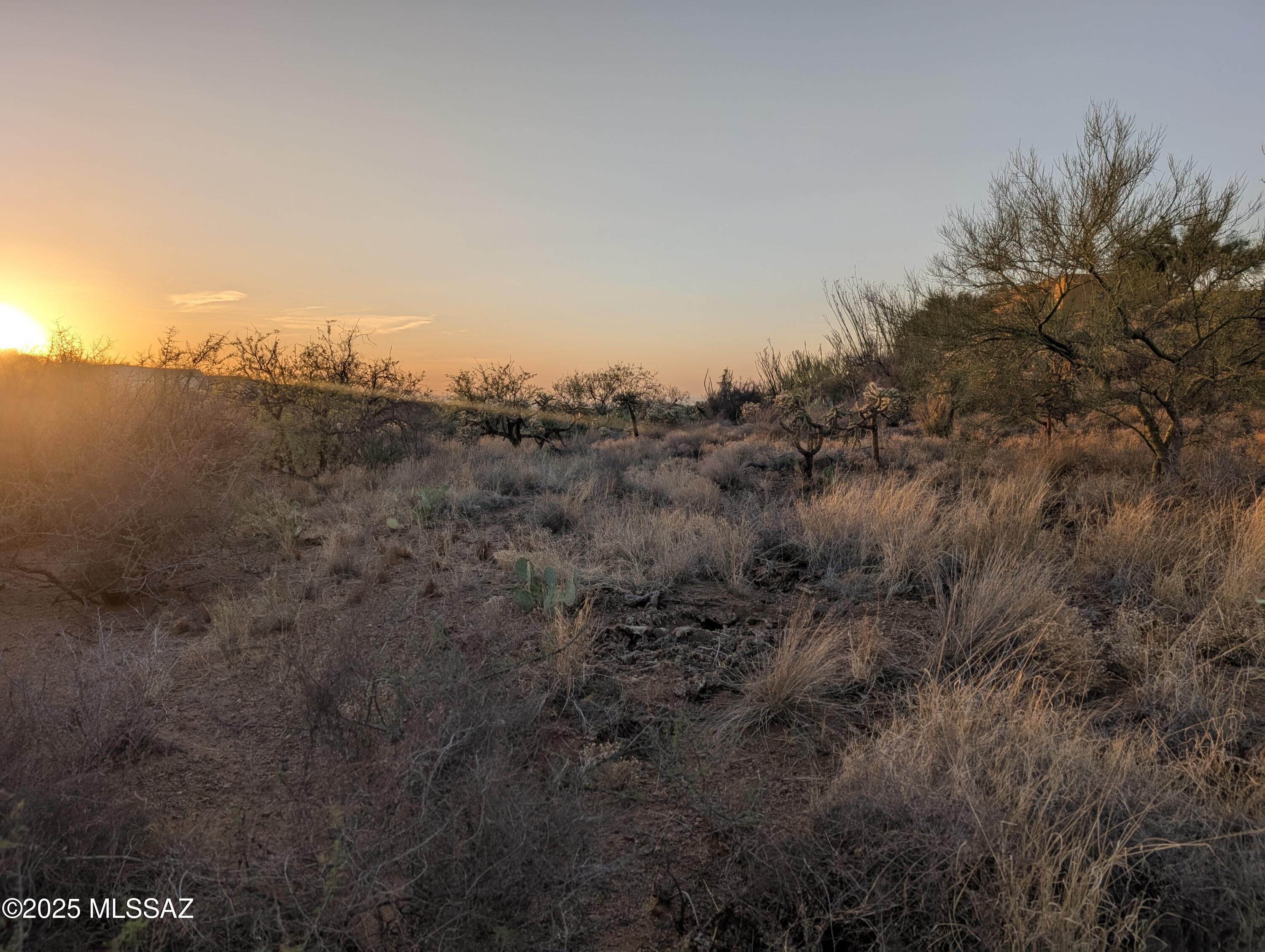 New Tucson Unit NO. 6 (1-75) - Land