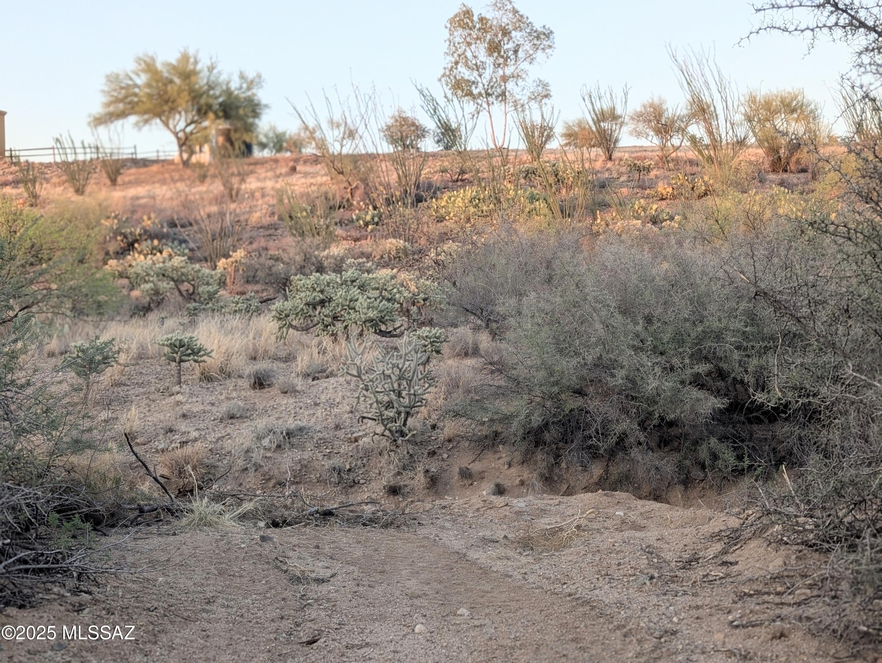 New Tucson Unit NO. 6 (1-75) - Land