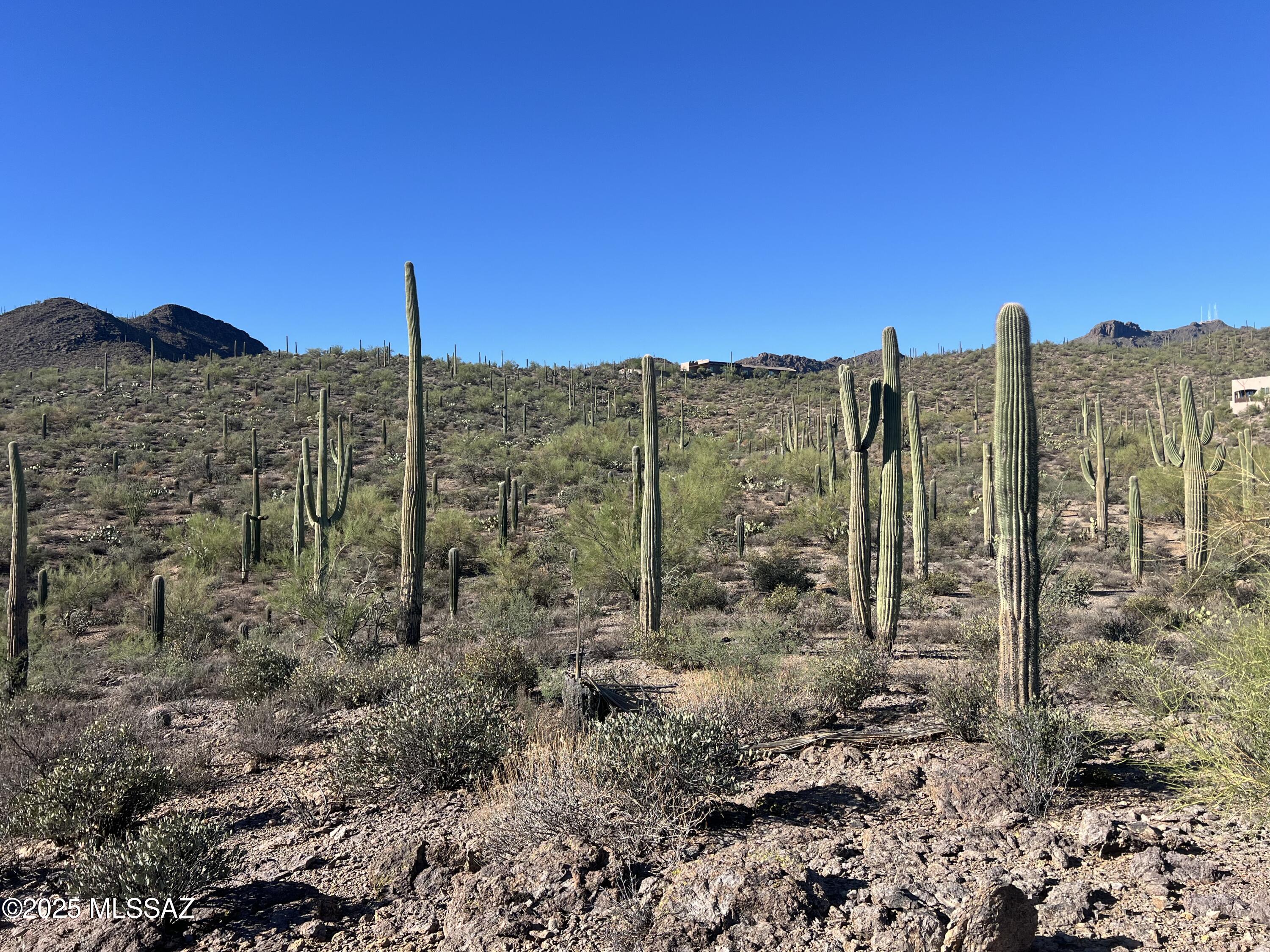Sweetwater Reserve - Land
