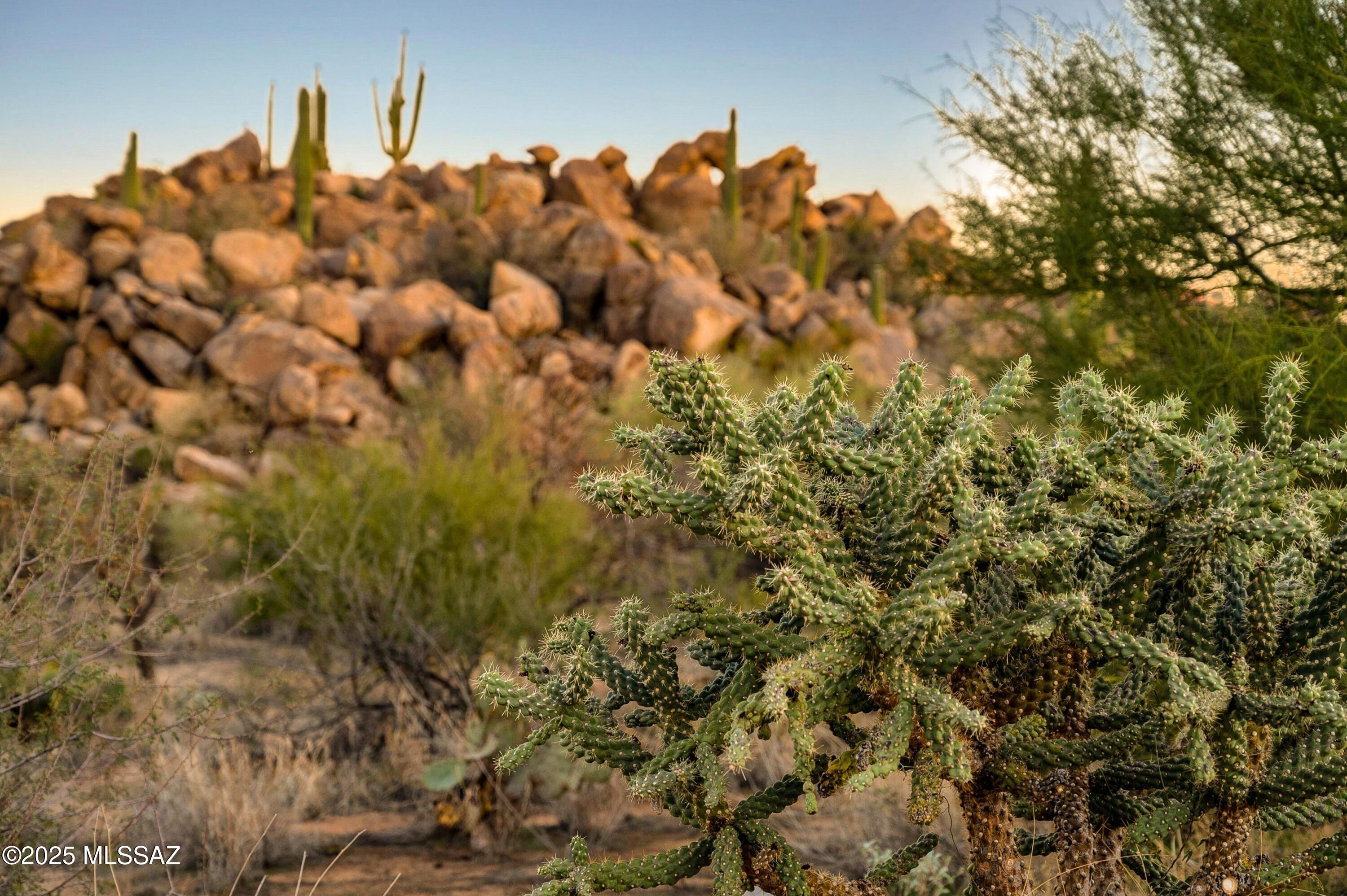 Stone Canyon IV - Land