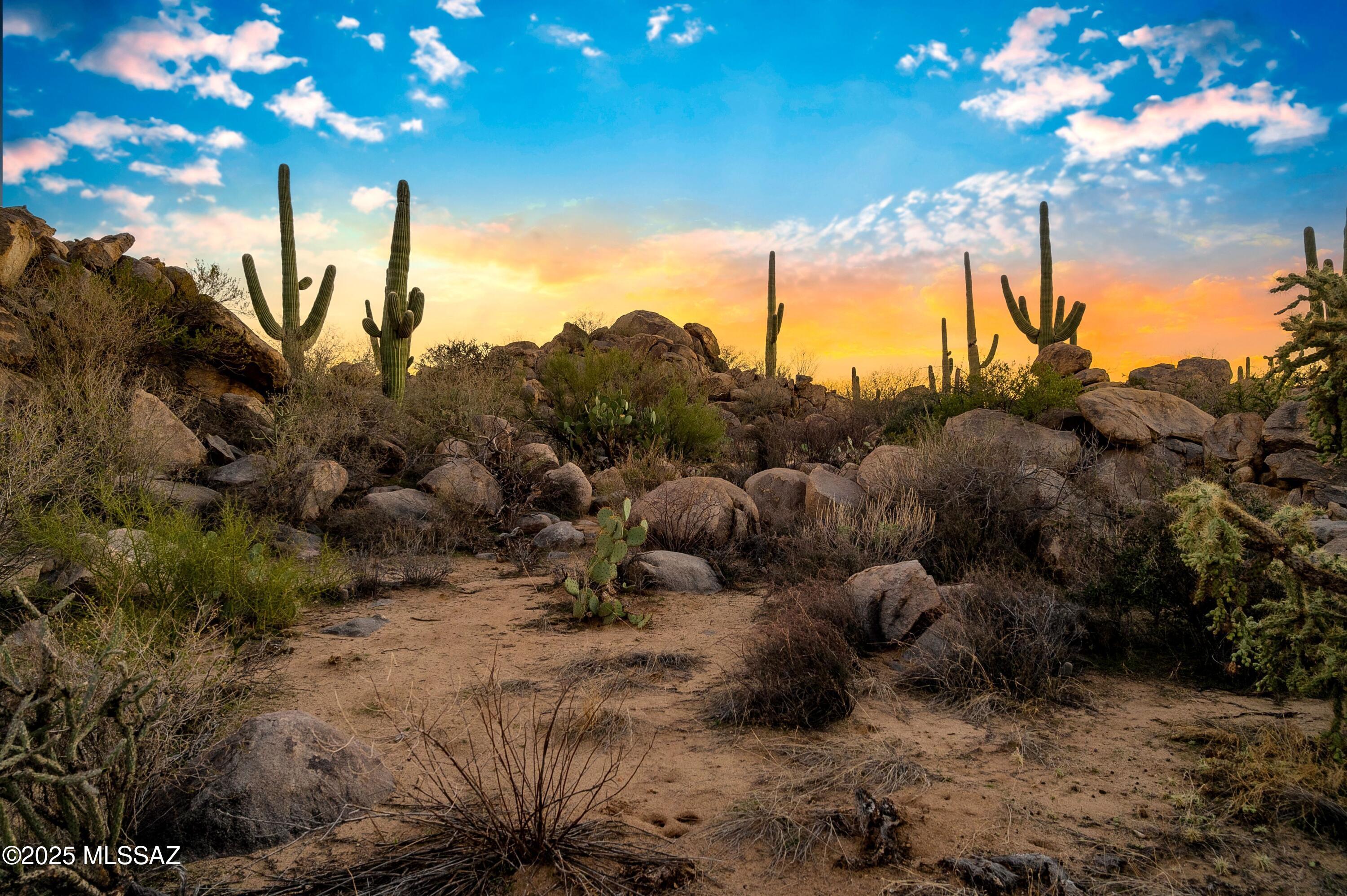 1484 W Tortolita Mountain Circle 294