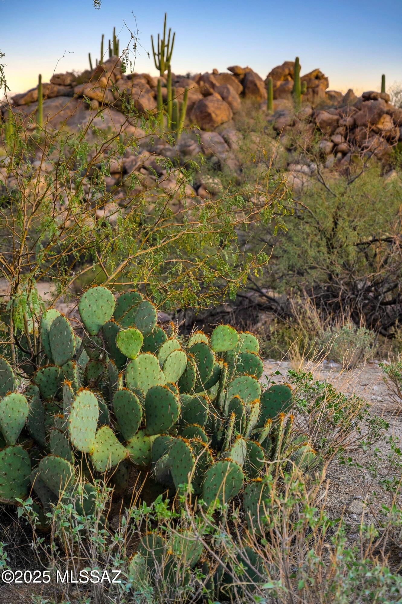 Stone Canyon IV - Land