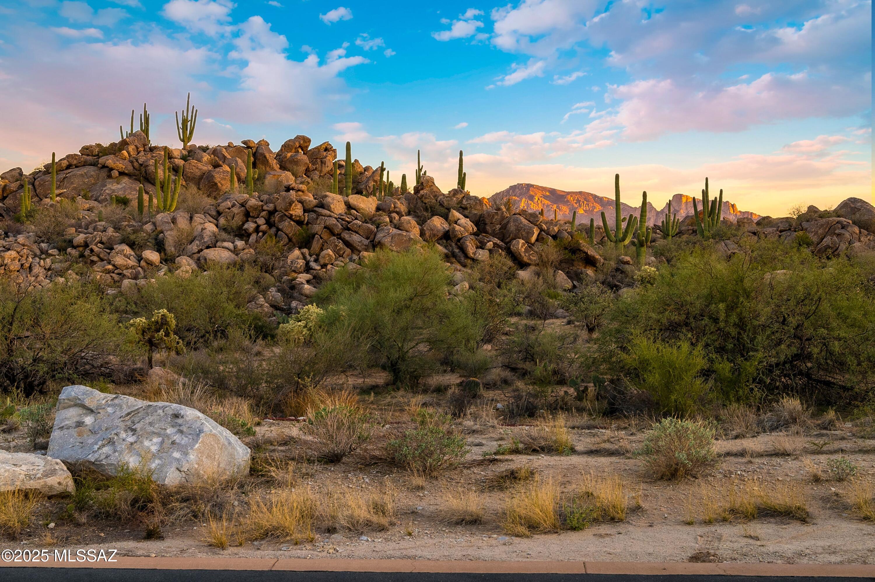 Stone Canyon IV - Land