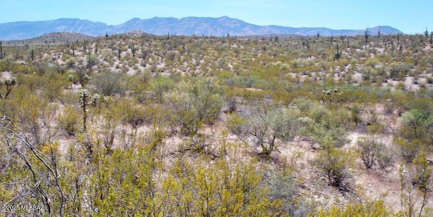 PRICED TO SELL at $29,000! Visit this secluded desert retreat of 10 acres with mature desert vegetation and saguaros, rolling terrain and majestic views in all directions, a private getaway for camping and peace and quiet! Plan a day trip and come visit and explore this unique part of nature!