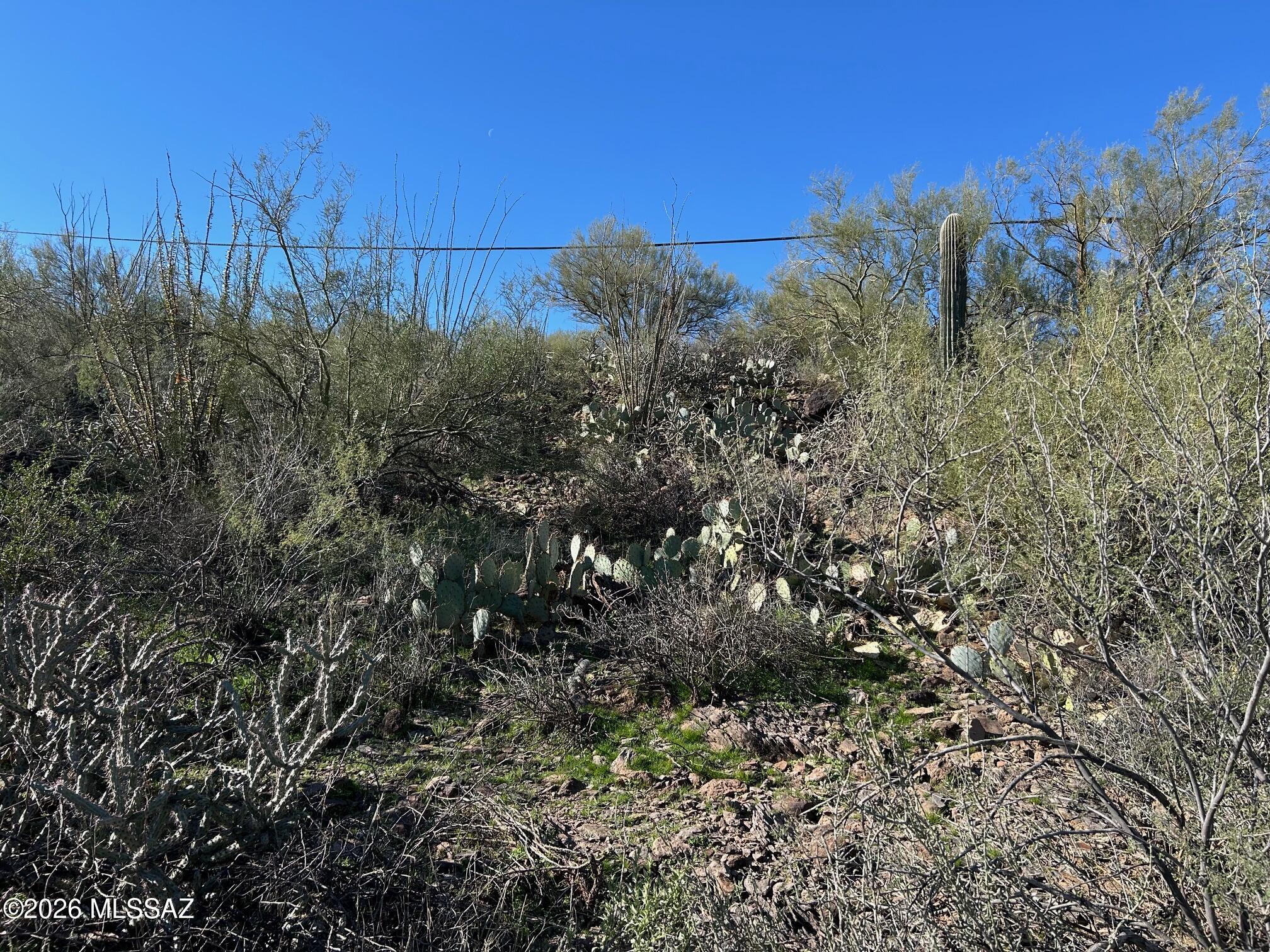 213 N Boulder Terrace 3