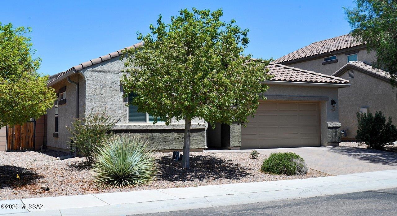 Saguaro Bloom Block 4 - Residential