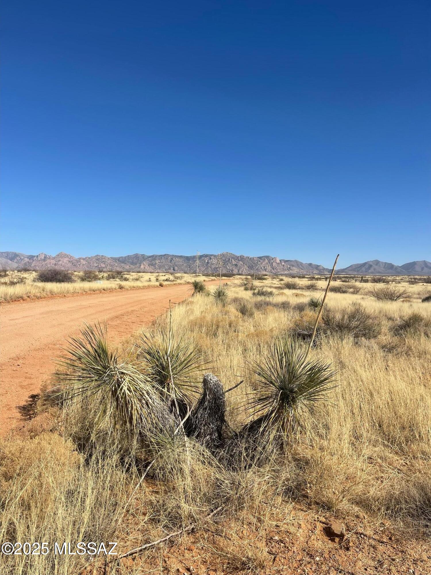Dragoon Mountain Ranch - Land