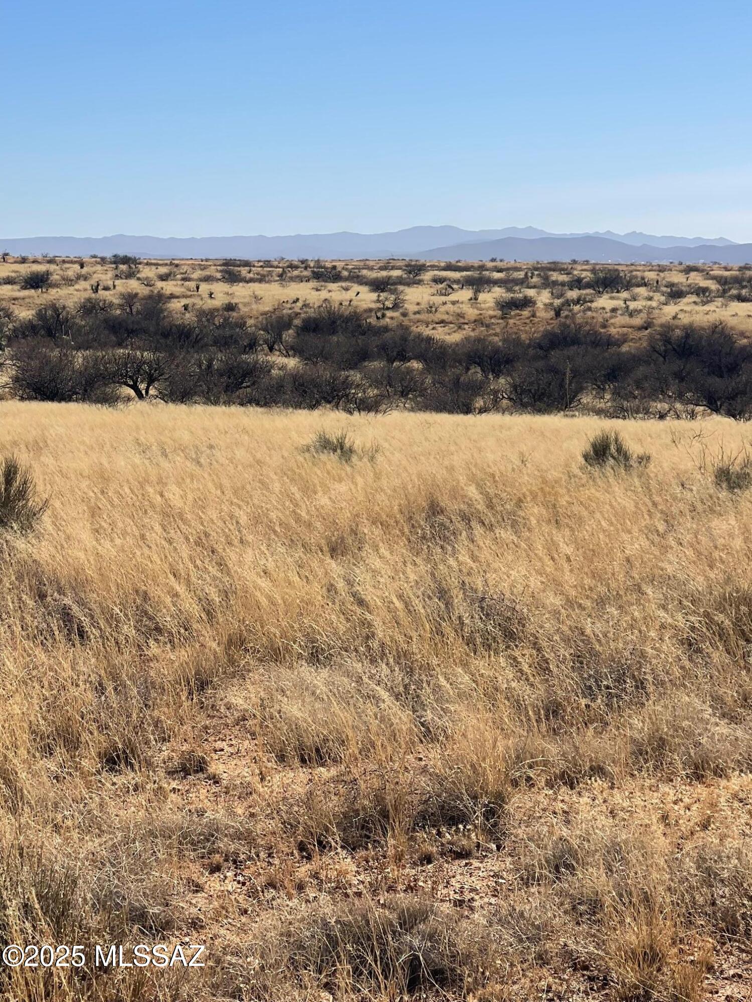 Dragoon Mountain Ranch - Land
