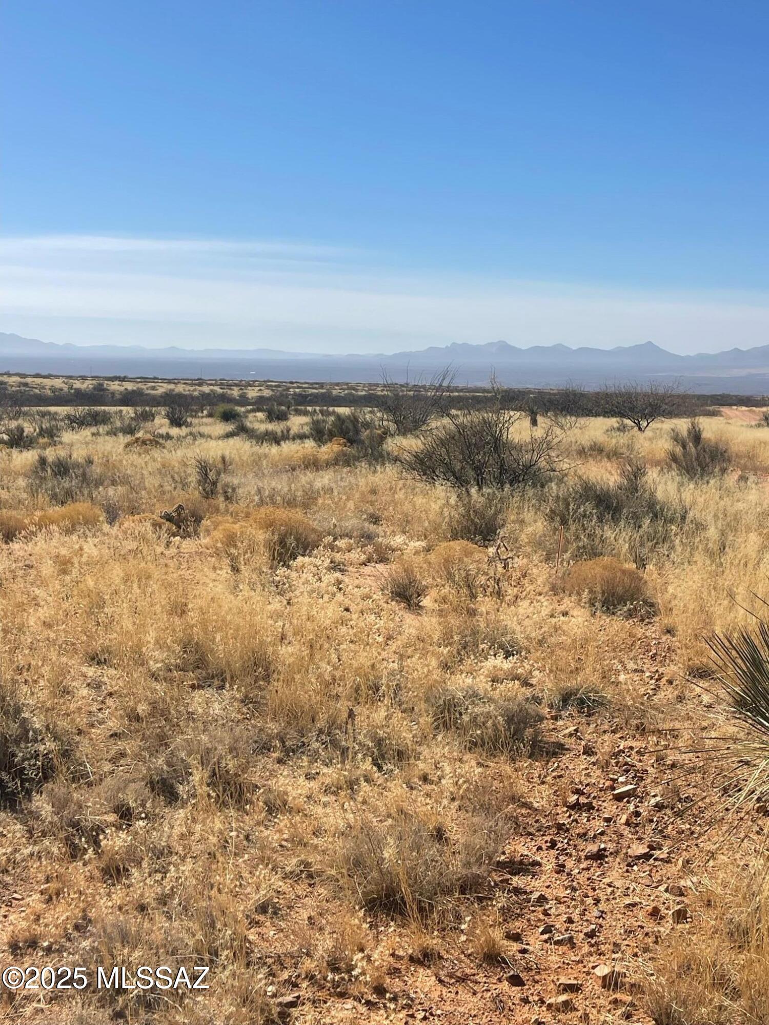 Dragoon Mountain Ranch - Land
