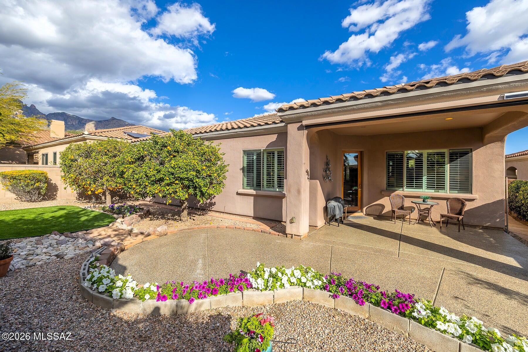 Village 1 At the Villages of La Paloma - Residential