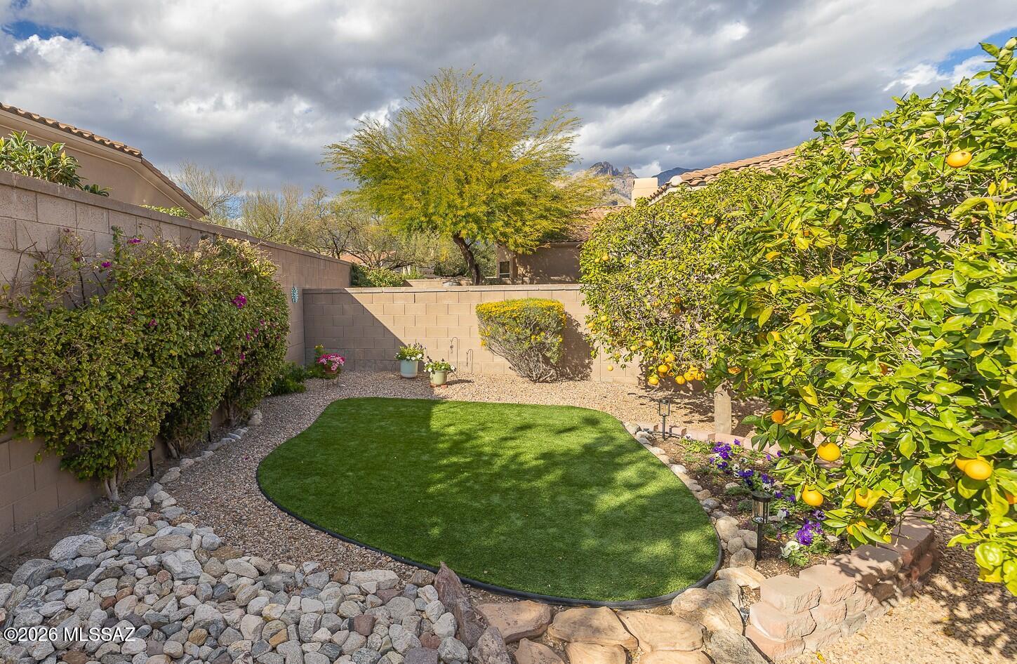 Village 1 At the Villages of La Paloma - Residential