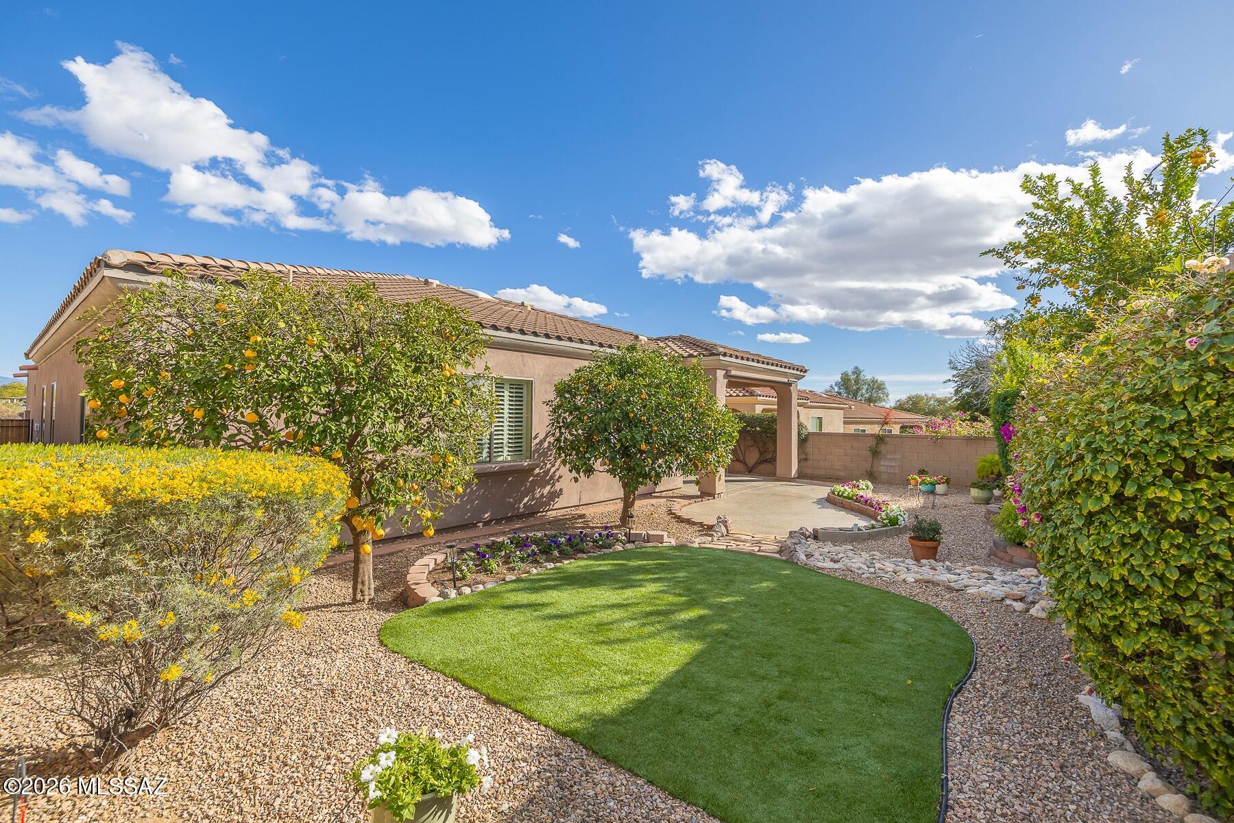 Village 1 At the Villages of La Paloma - Residential